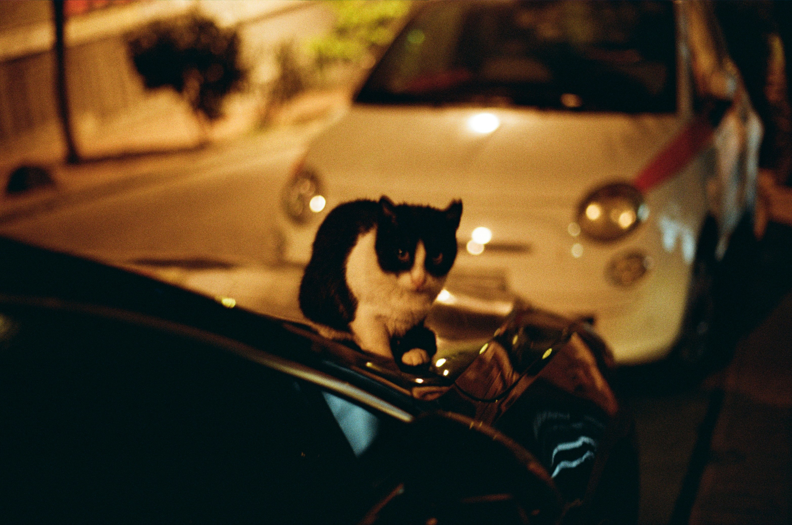 Complicated // turkey, istanbul III. EVER EXPOSED