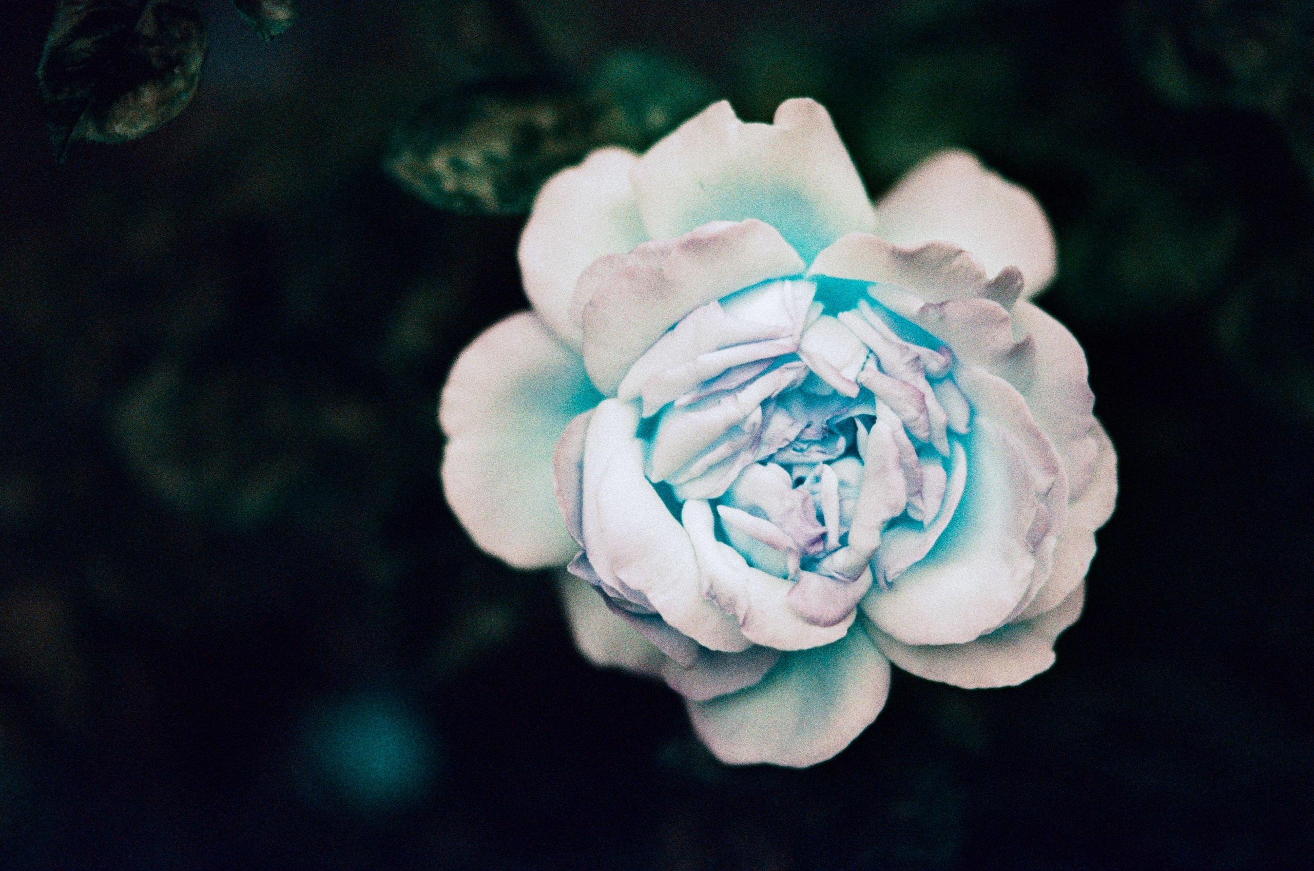 Pain shopping // ukraine, crimea III. EVER EXPOSED