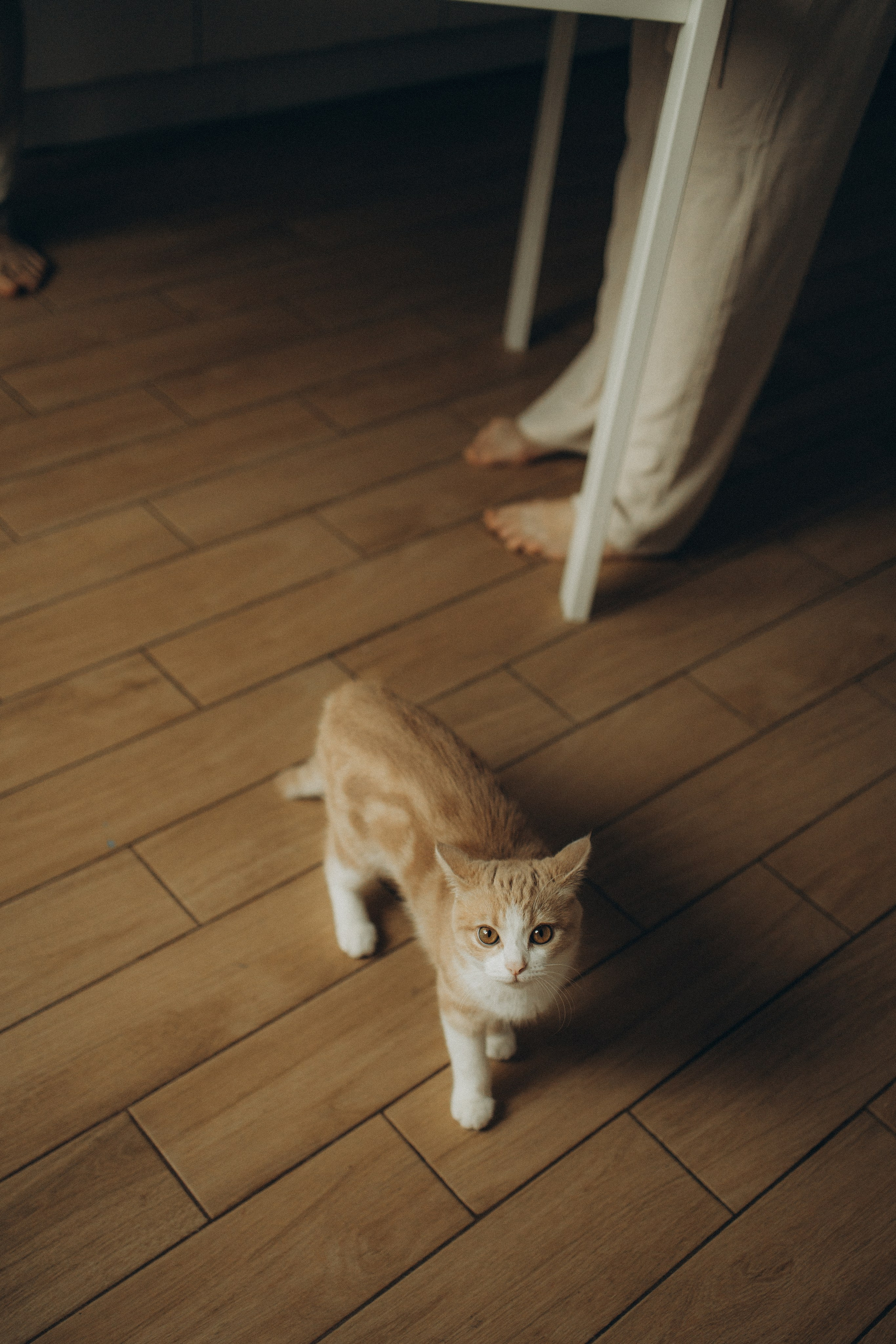 Аня, Алиса и Саша. Александра Ниценко СЕМЕЙНЫЙ ФОТОГРАФ ИЗ СТАВРОПОЛЯ