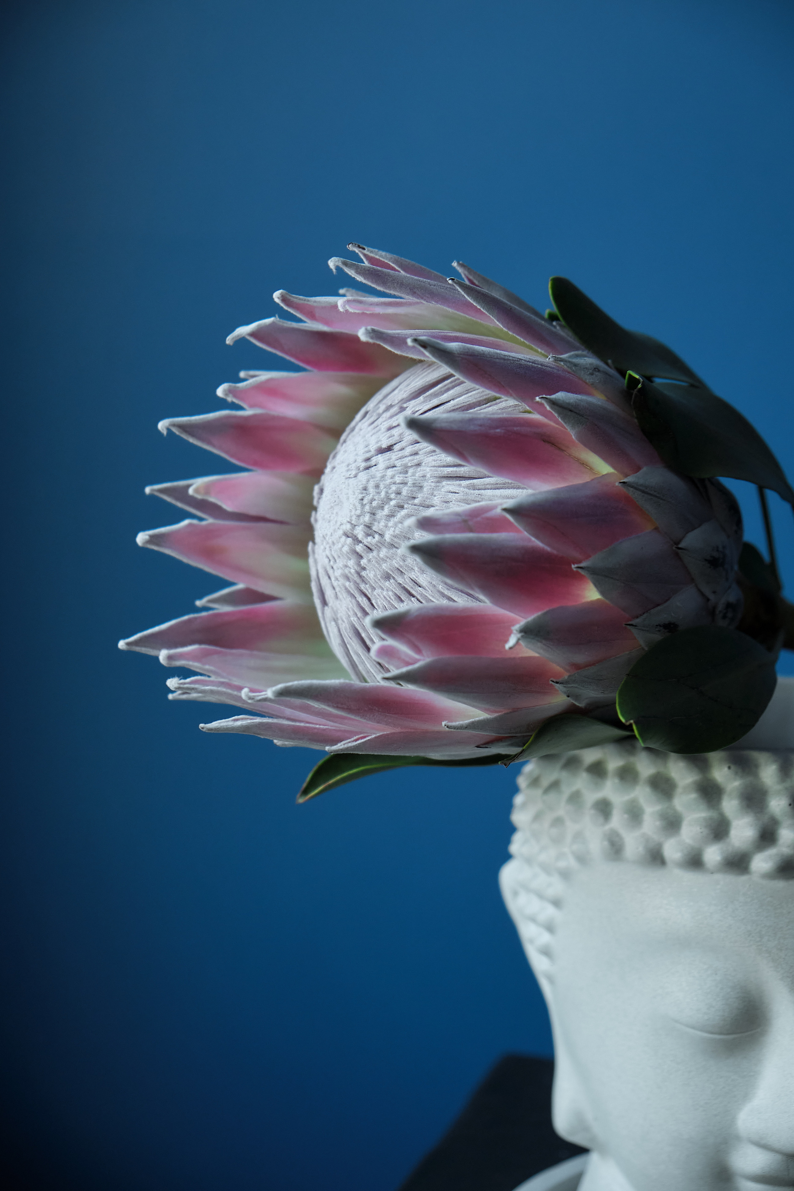 Цветочное бюро. Фотограф в Екатеринбурге Наталия Нарышкина, бизнес контент, танец