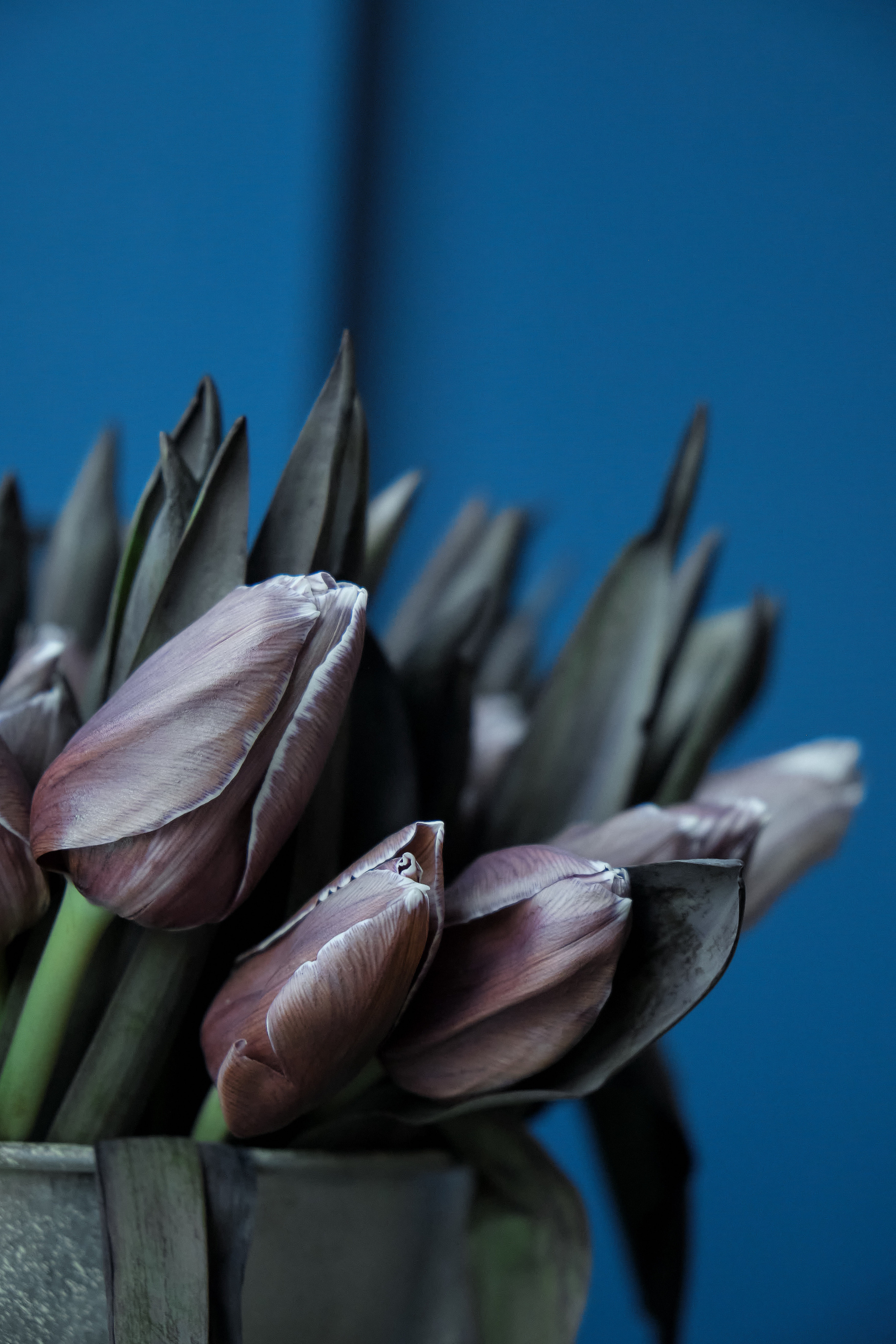 Цветочное бюро. Фотограф в Екатеринбурге Наталия Нарышкина, бизнес контент, танец