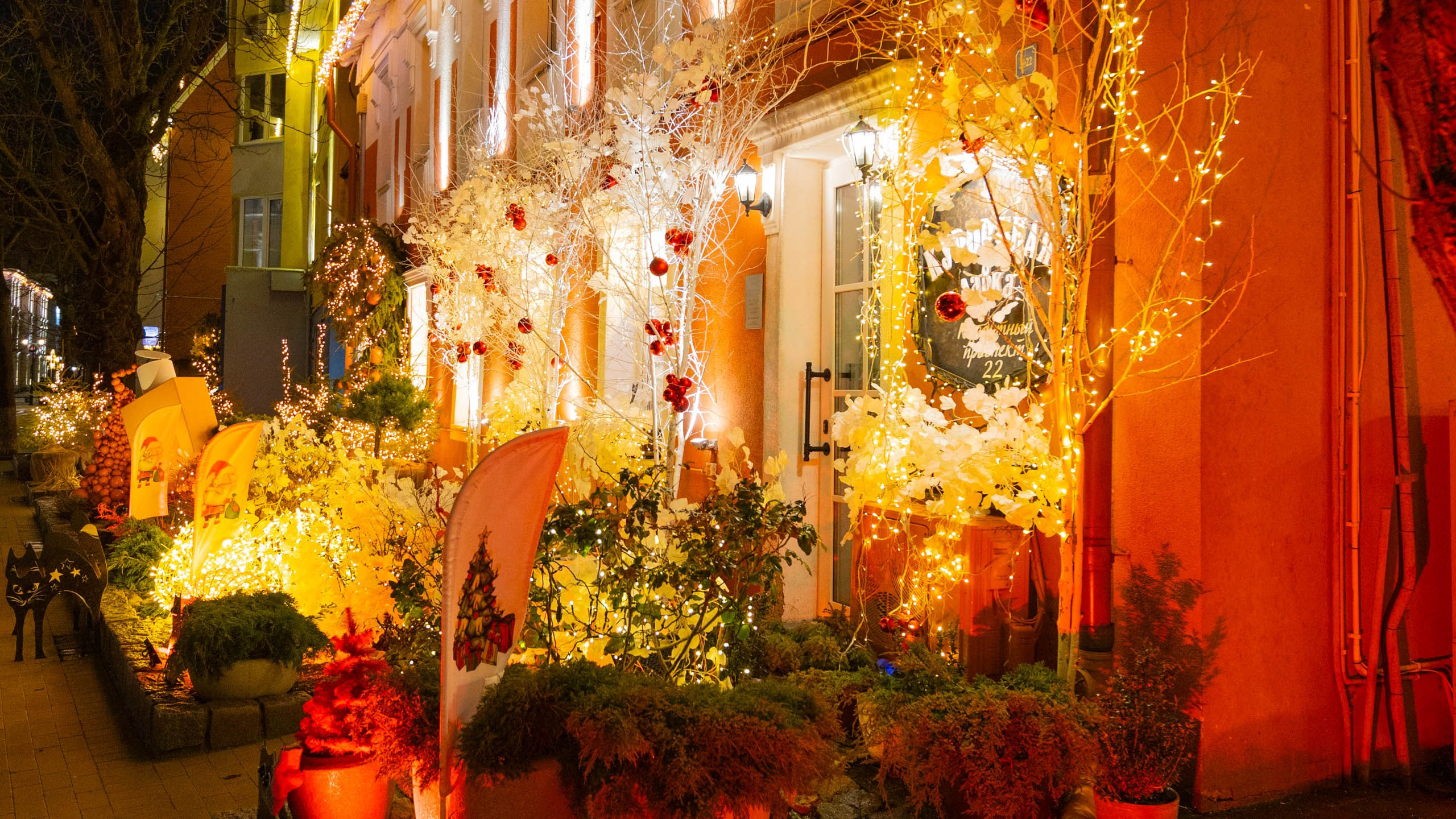 2024 01 Калининград (Светлогорск, Зеленоградск). Фотографии