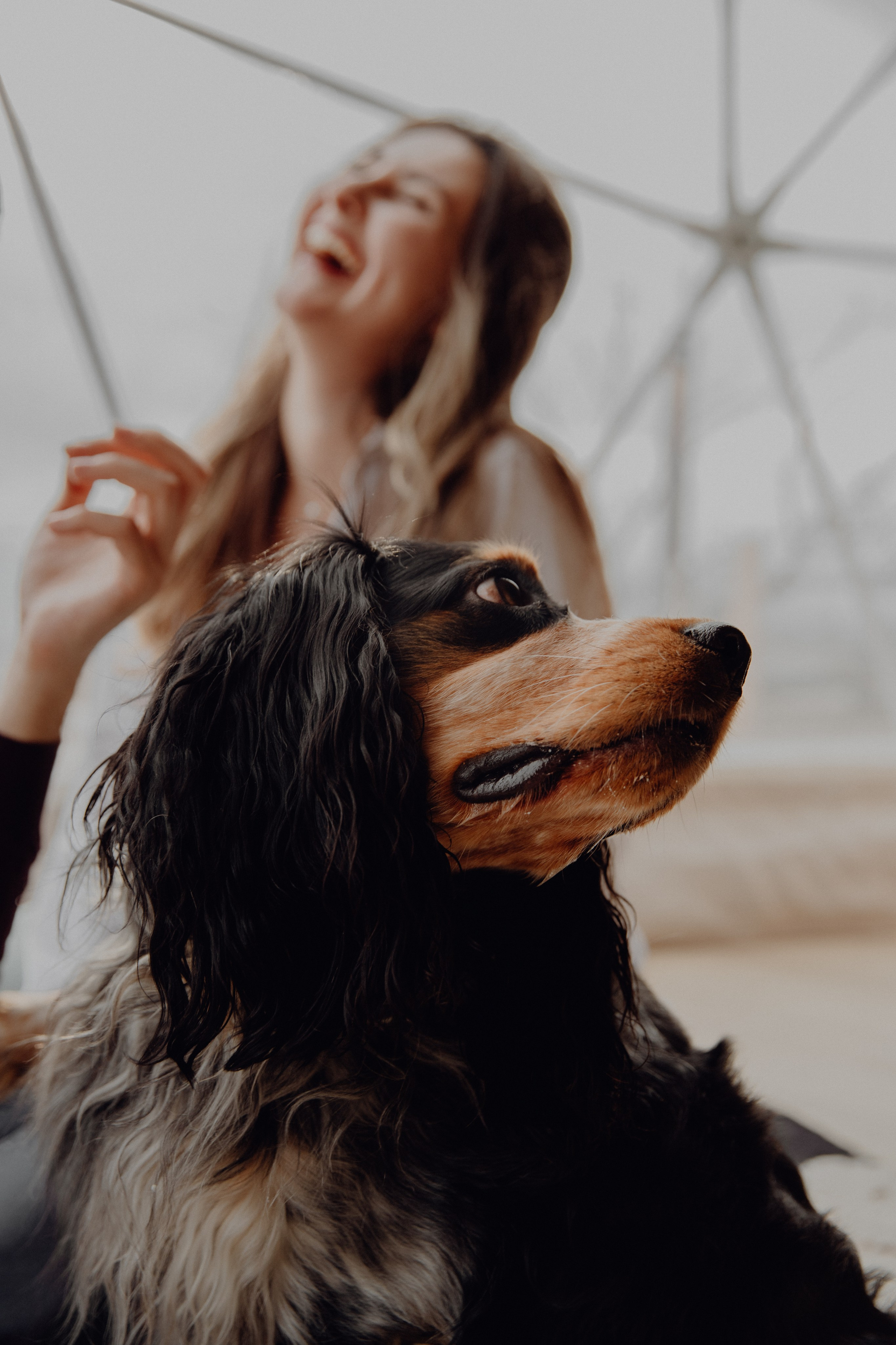 Ася ღ Заур. Портфолио