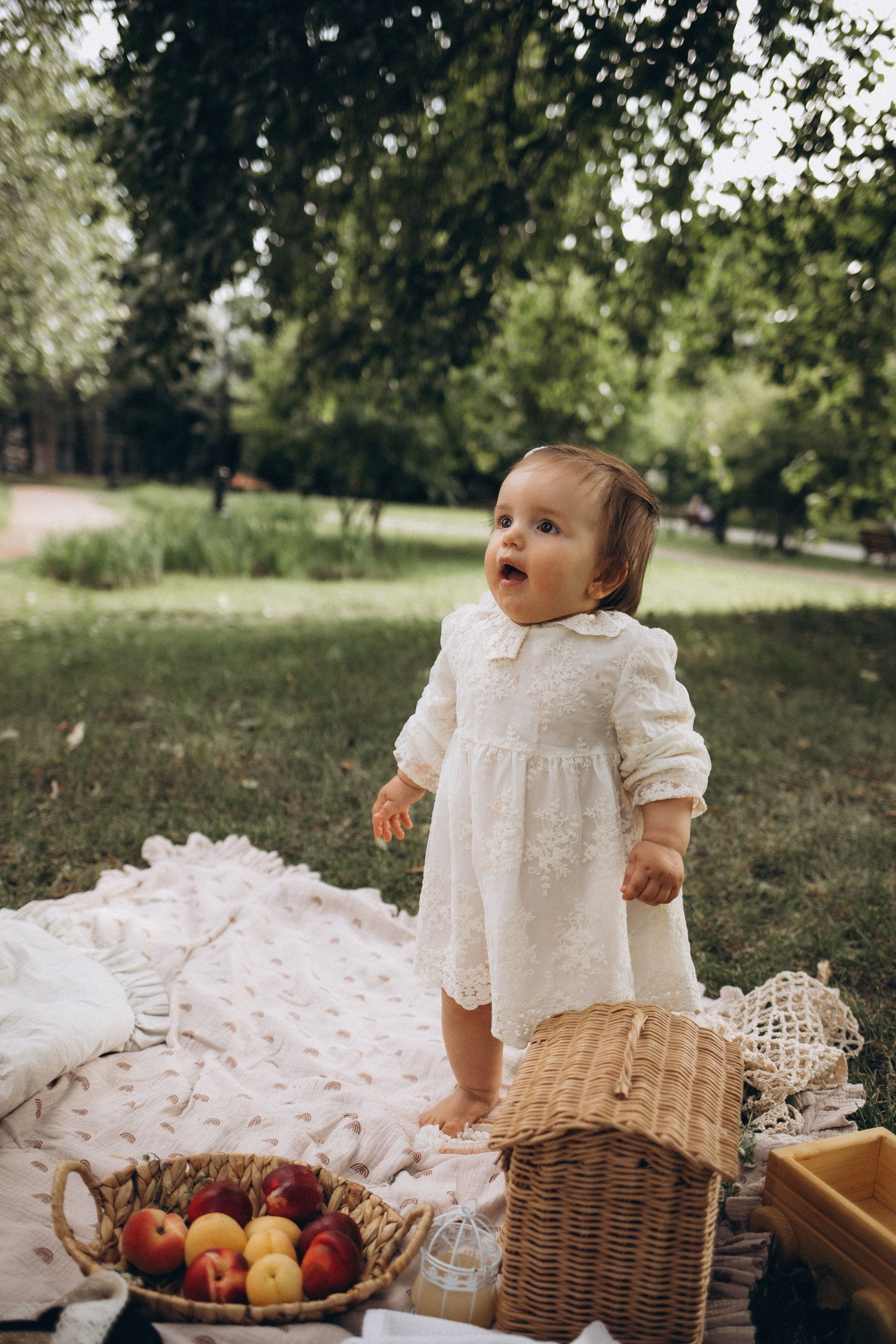 Летний семейный пикник на природе. Семейный и свадебный фотограф Анна Кожокарь