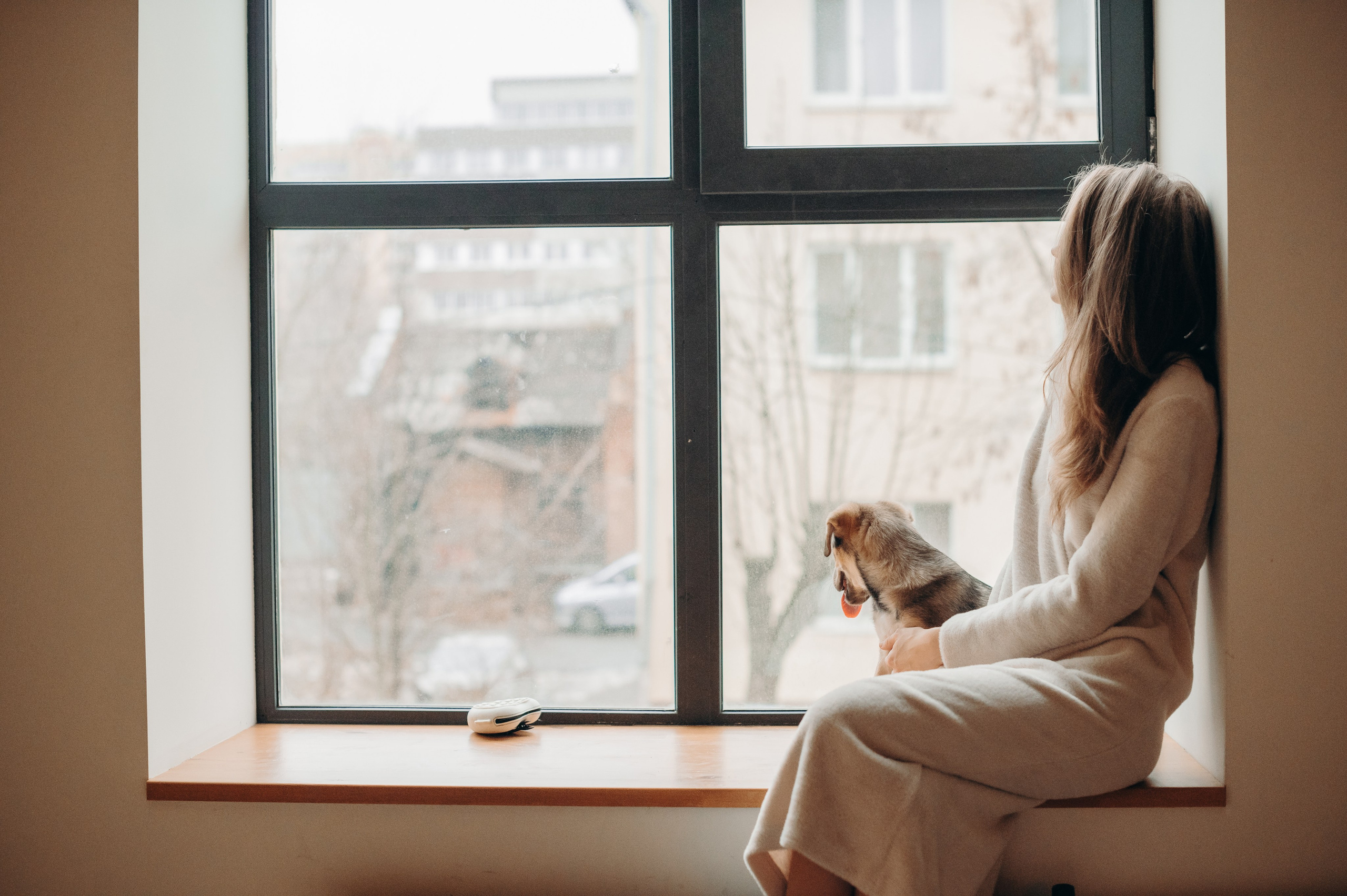 Анималистика. Главная