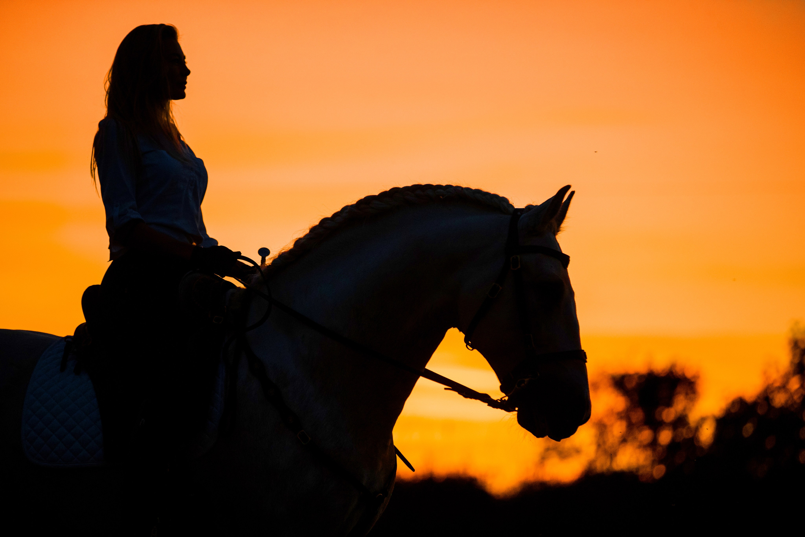 Натали и Цезарь. Фотограф-анималист Ксендзова Кристина