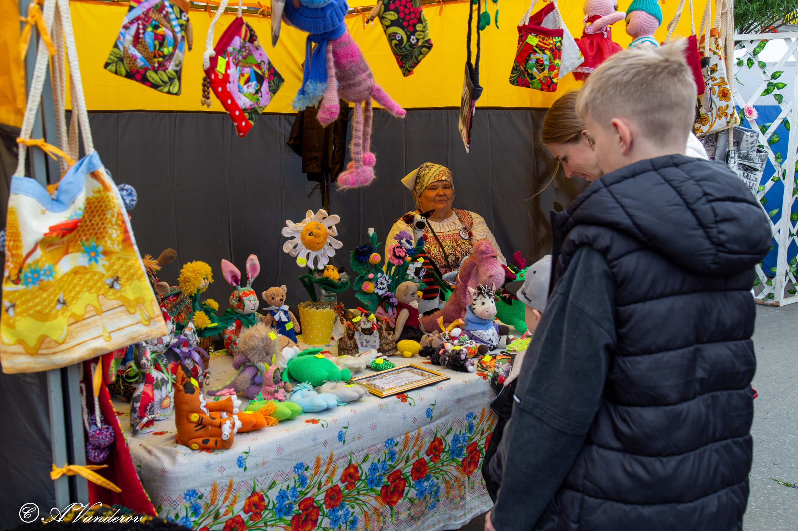 День России 12.06.2024. Фотограф Омск | Александр Вандеров