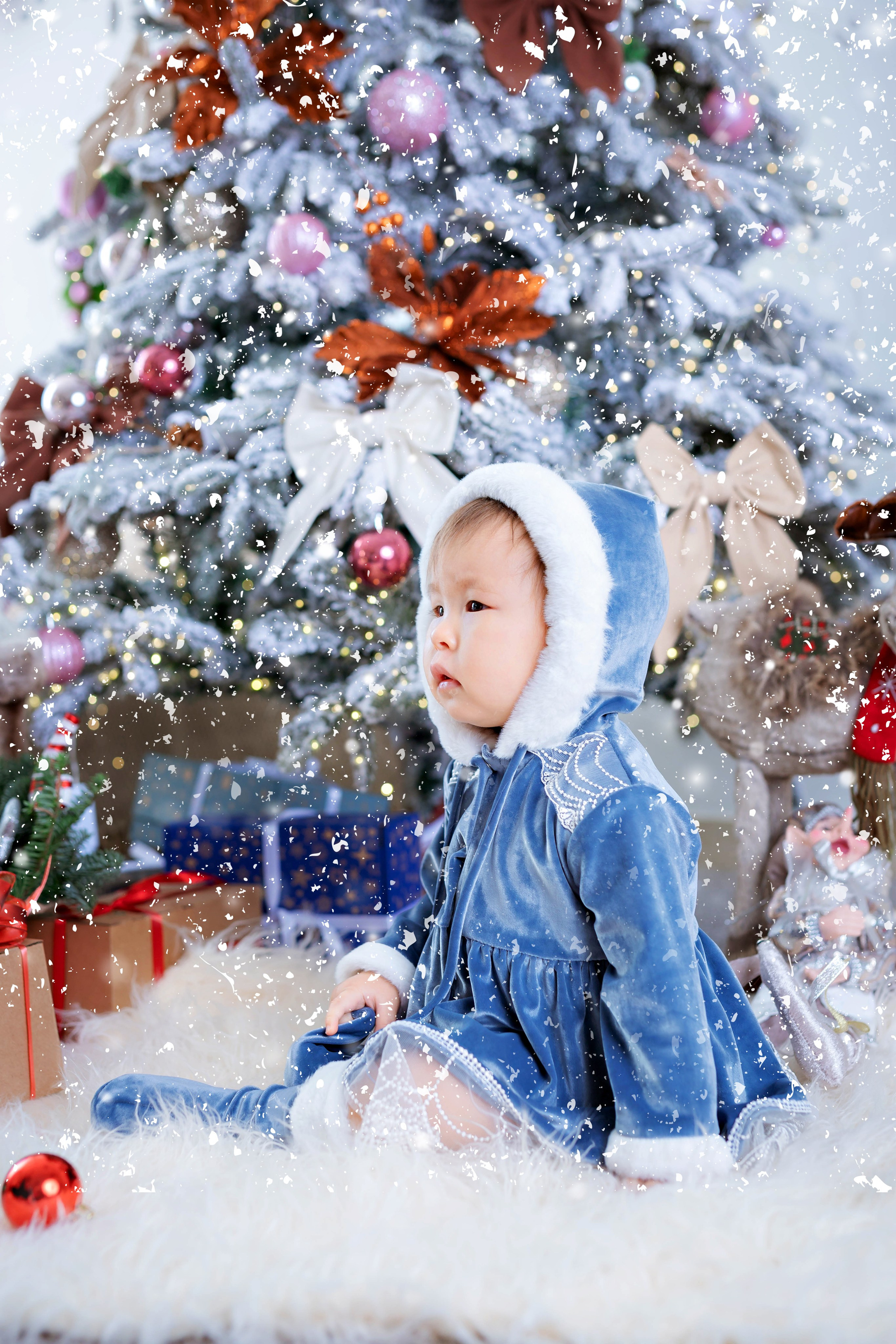 Новый год. Фотограф Болотова Иветта