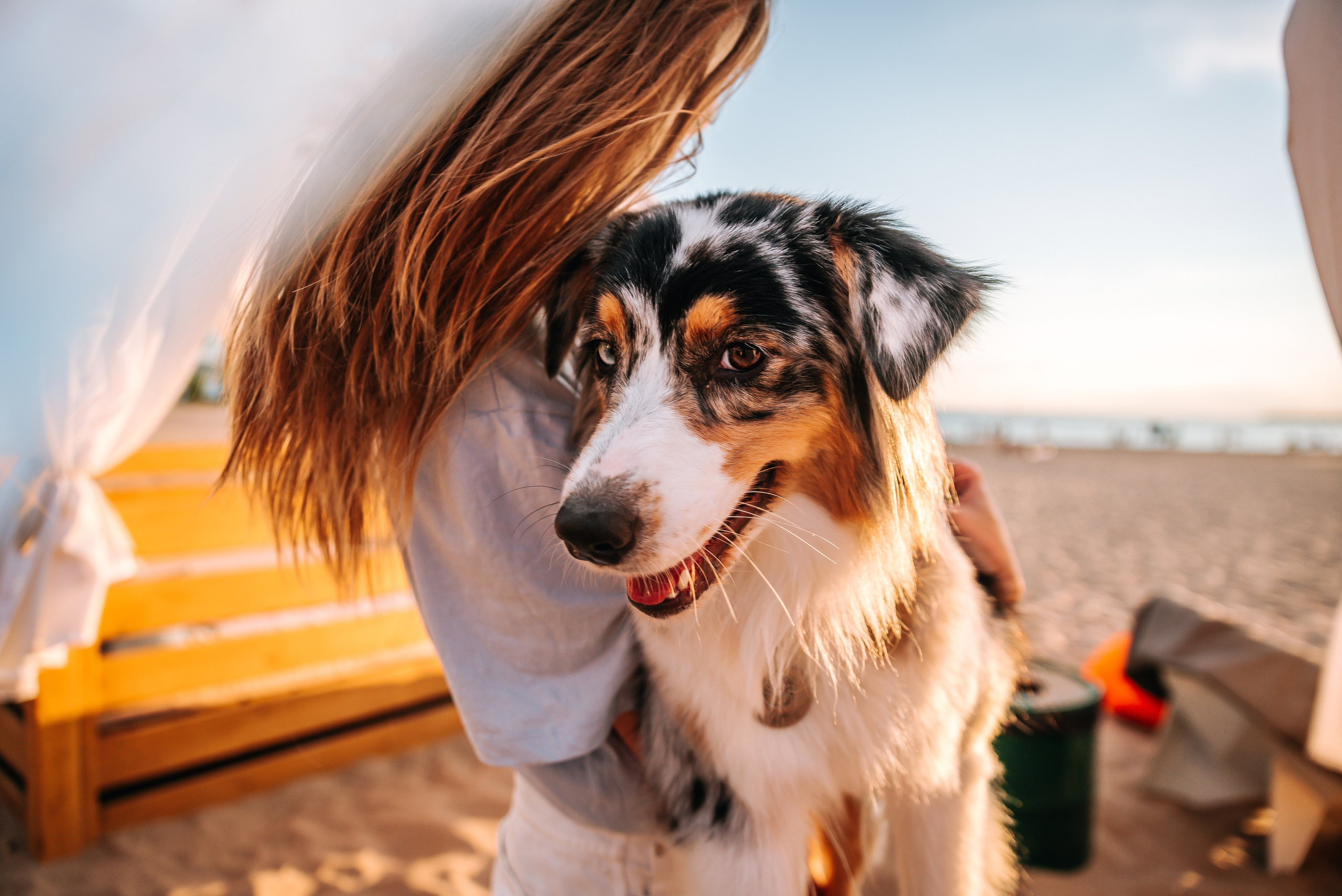 No Bad Days. Главная