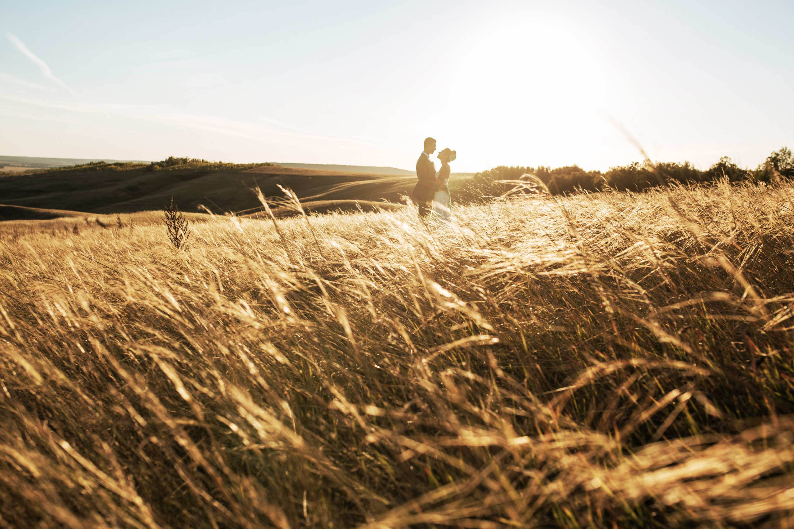 Суходол. Wedding photographer