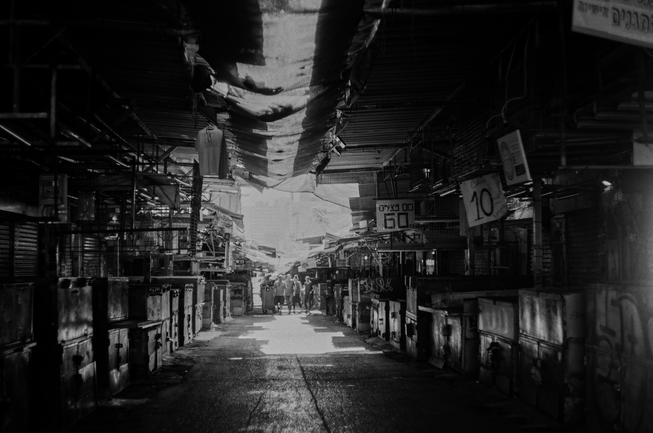 Israel 2025. Свадебный и портретный фотограф в Санкт-Петербурге