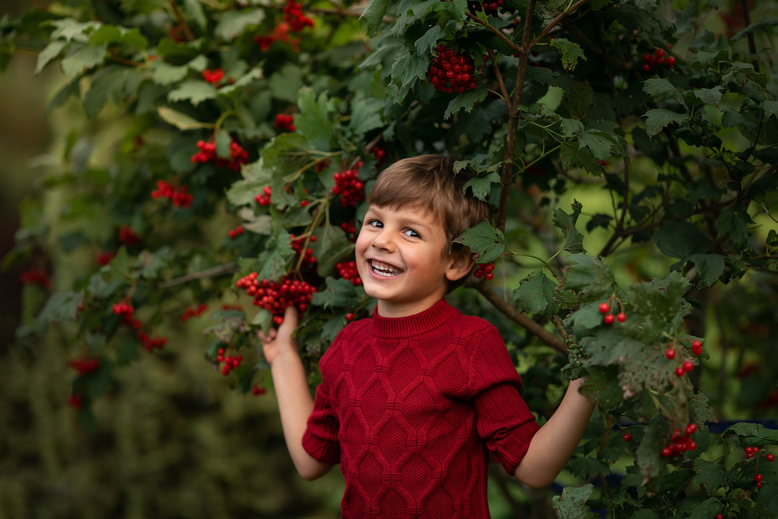 Сказочная осень. Главная