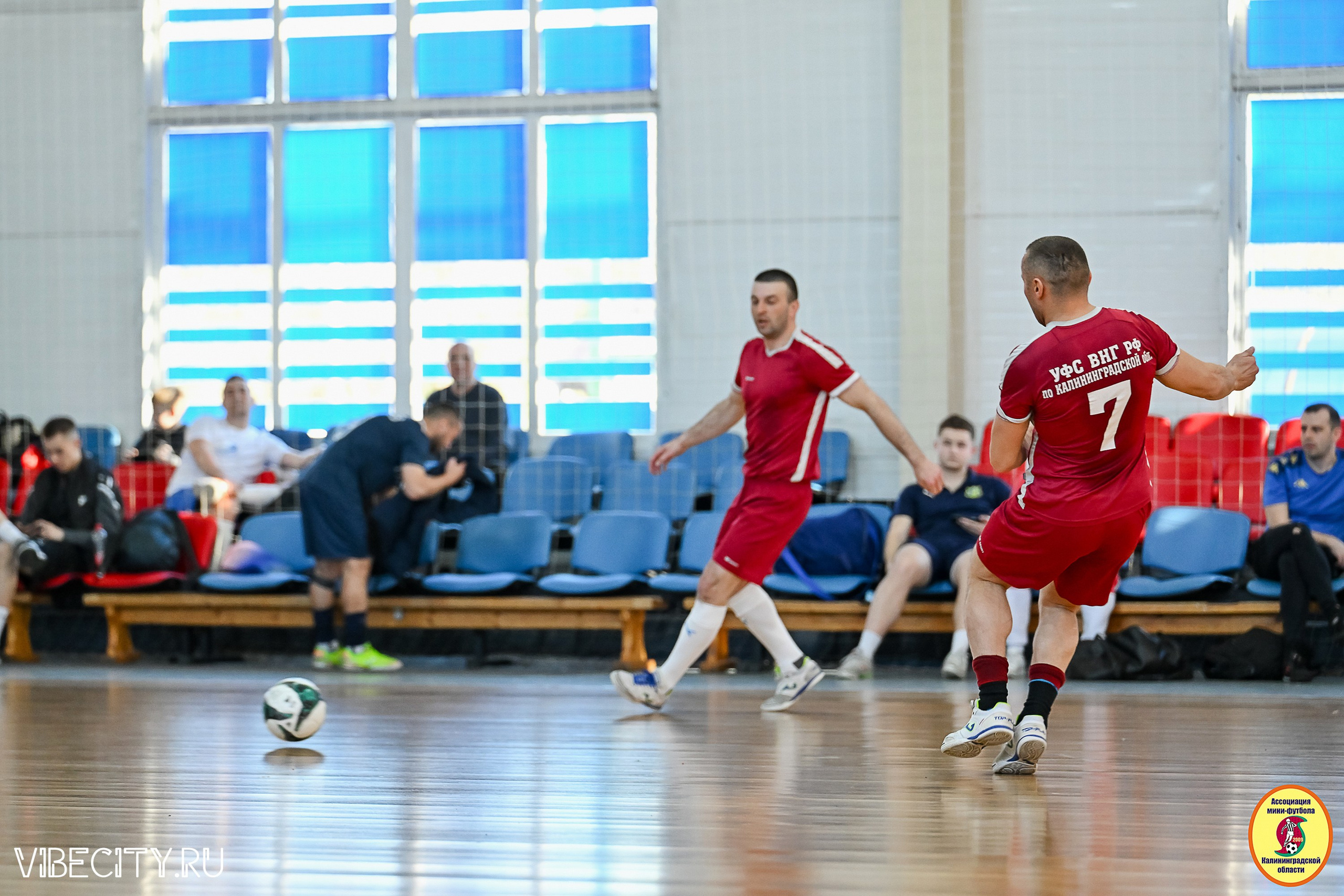 МФЛ СанТермо. VIBECITY.RU Вайб Сити Ру Фоторепортажи Фотоотчеты Калининград