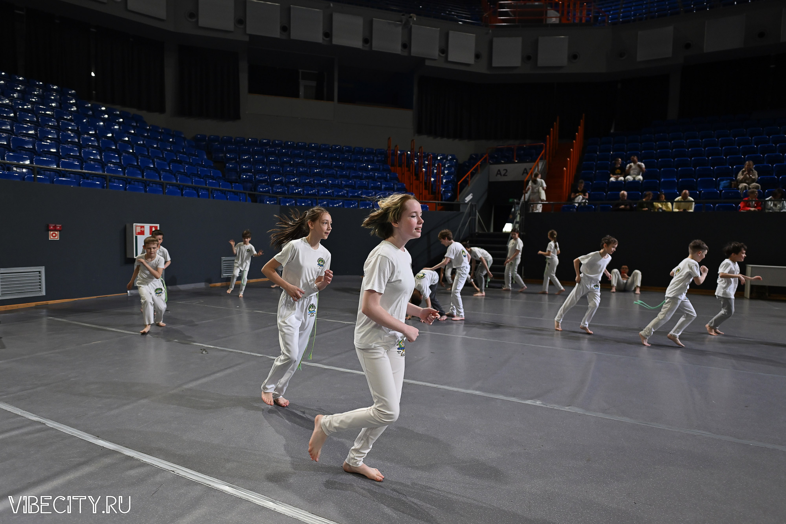 Капоэйра. Вручение поясов. VIBECITY.RU Вайб Сити Ру Фоторепортажи Фотоотчеты Калининград