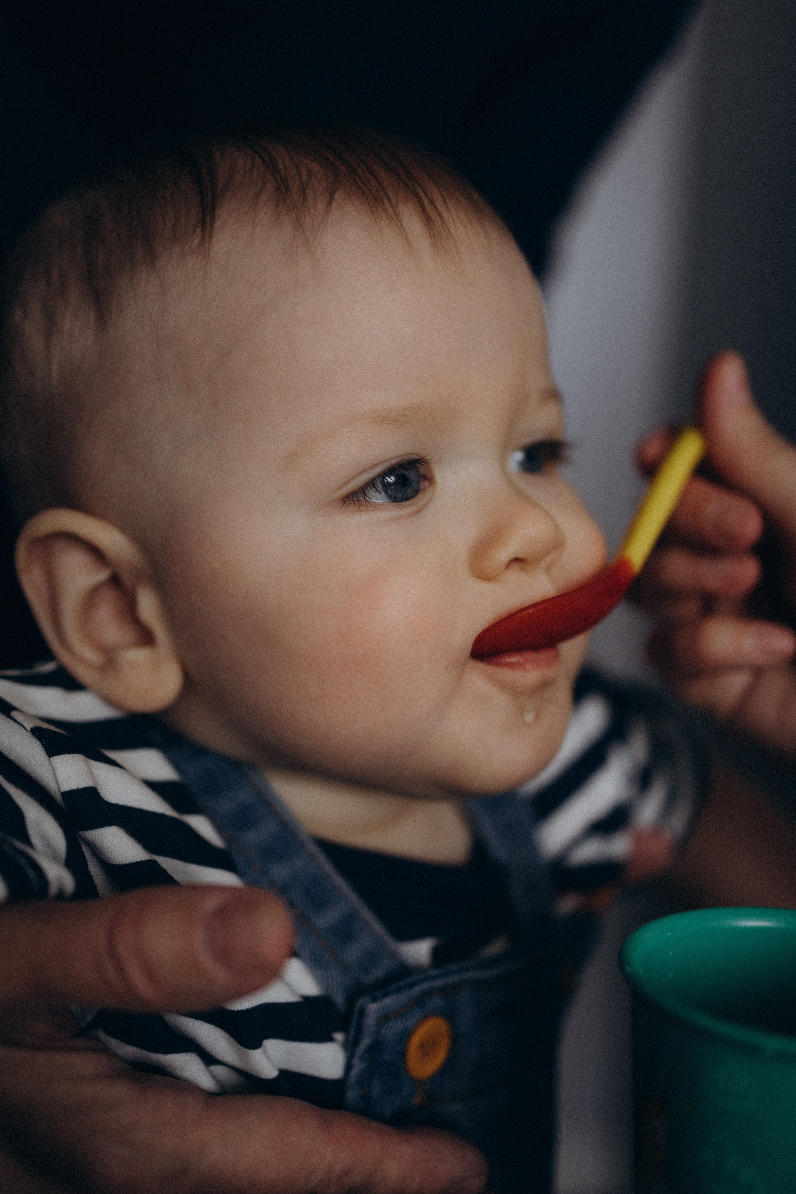 Семейная фотосессия семьи Анечки. Семейный фотограф в Москве и Люберцах Юлия Гуськова