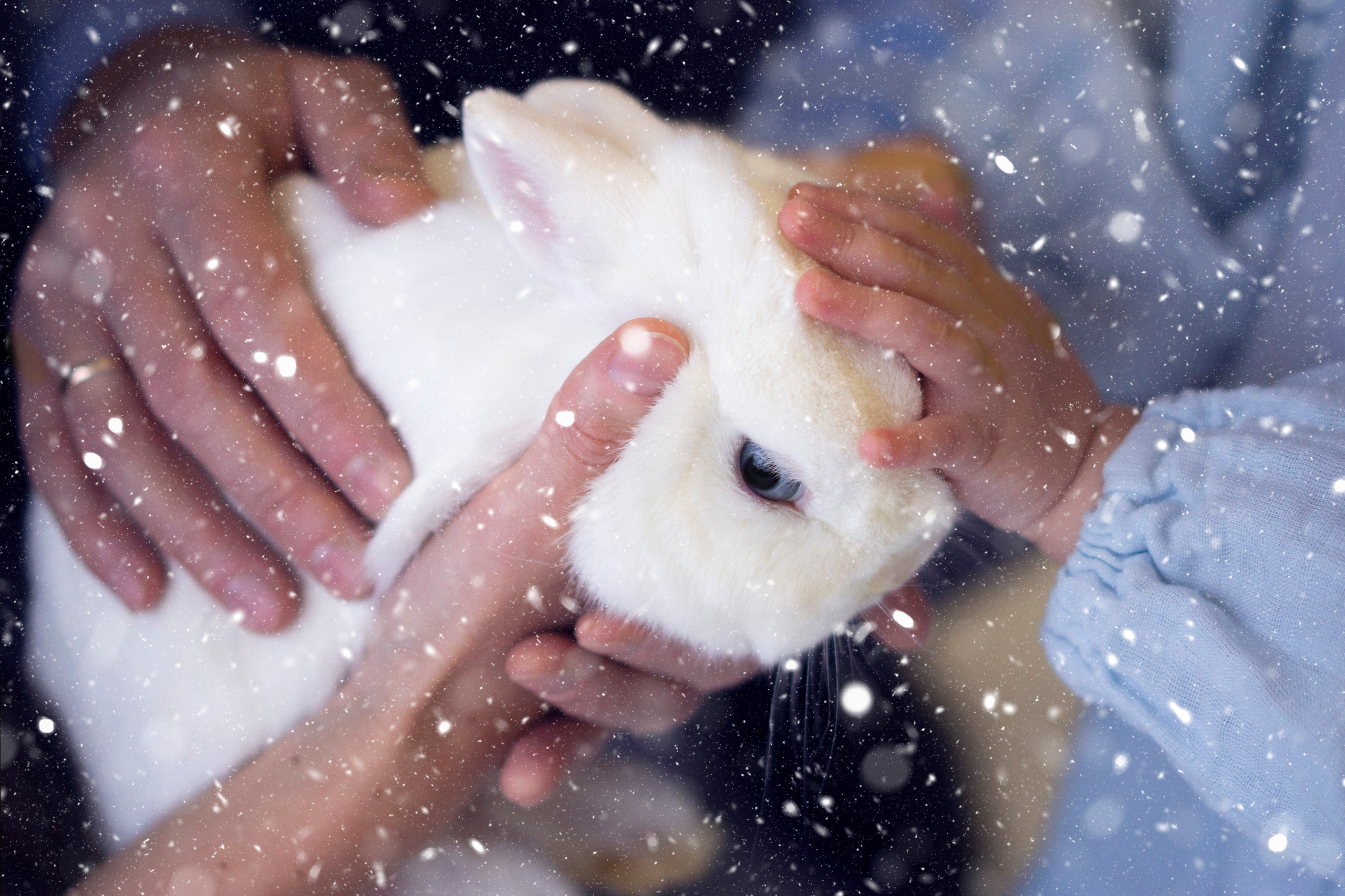 Семейные мгновения. Семейный и детский фотограф в Москве Ольга Светличная