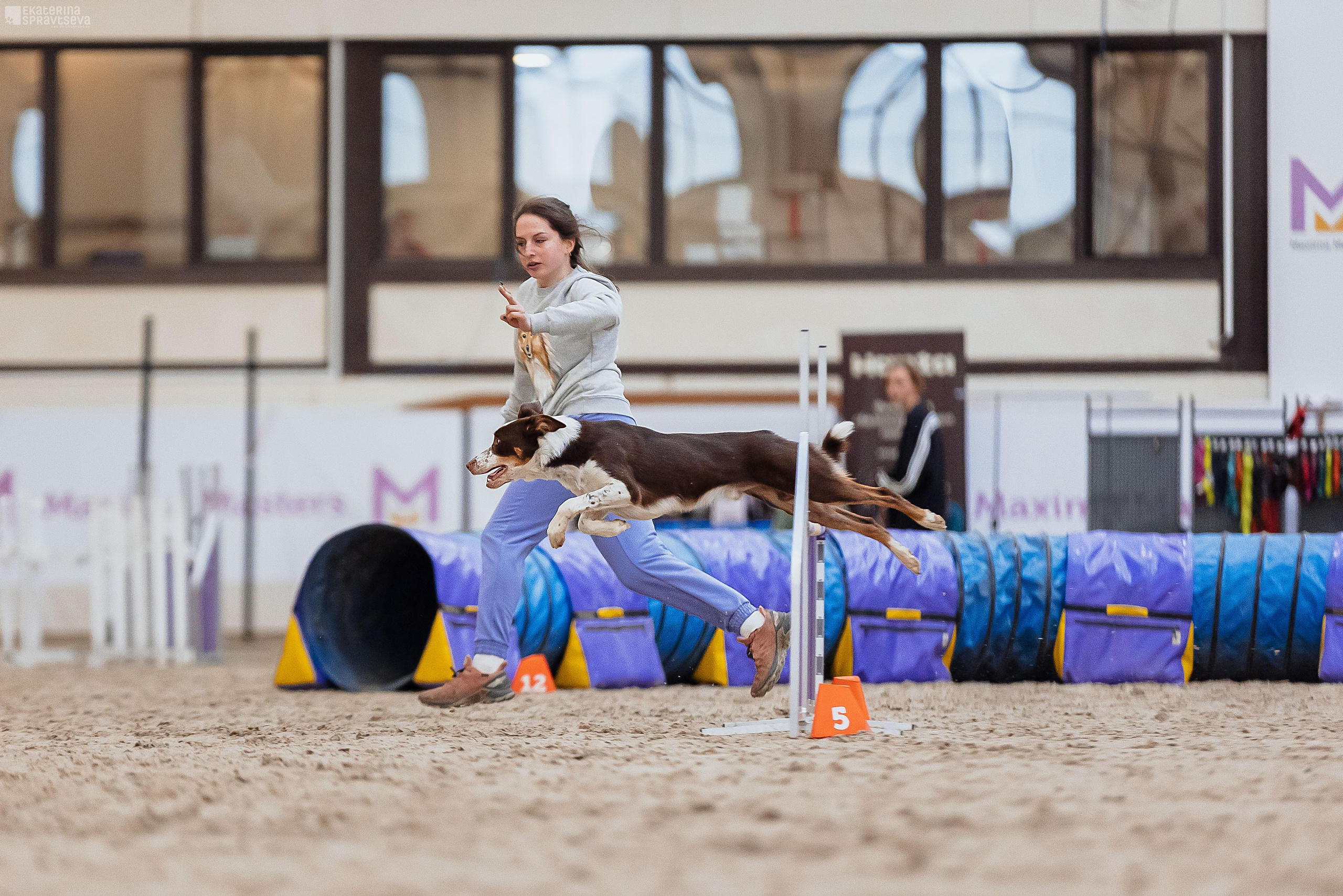 ЧРКФ Аджилити в Максима. Фотограф Анималист Екатерина Справцева в Нижнем Новгороде