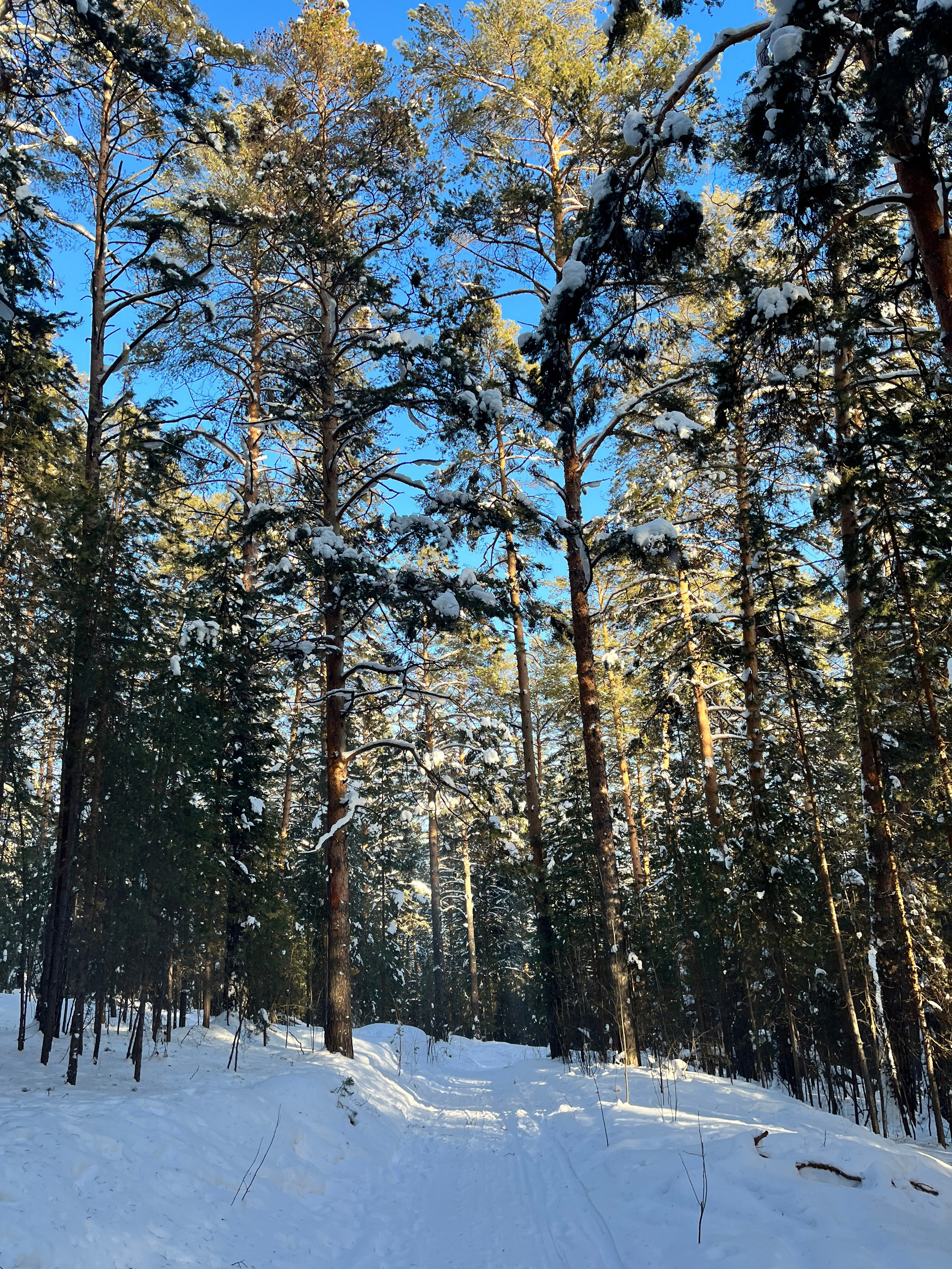Фото с туров в Мраткино — Время Приключений