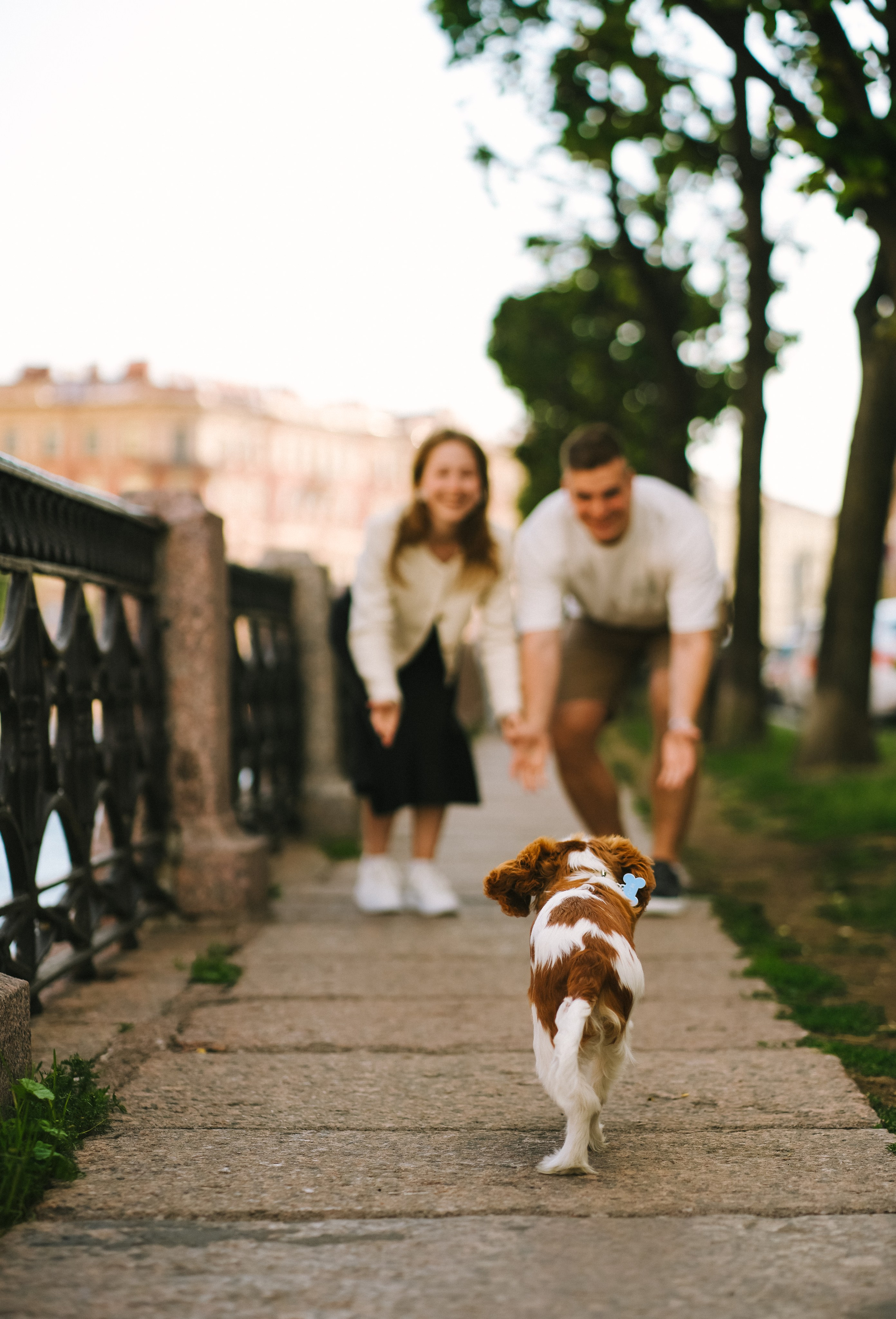 Аня и Влад. Фотограф г. Санкт-Петербург Александра Катанакова
