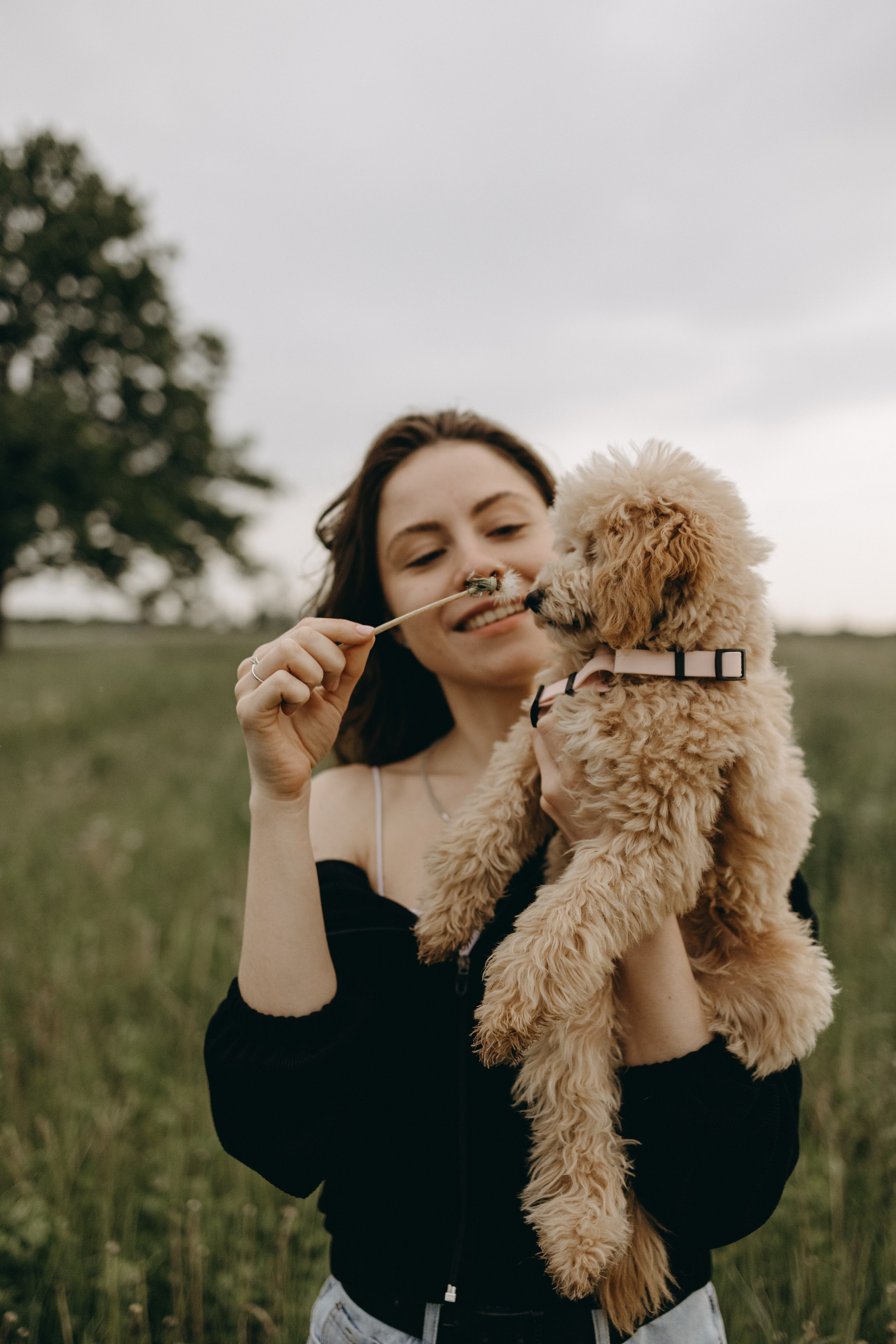 Мия и ее семья. Фотограф — Анималист | Санкт-Петербург