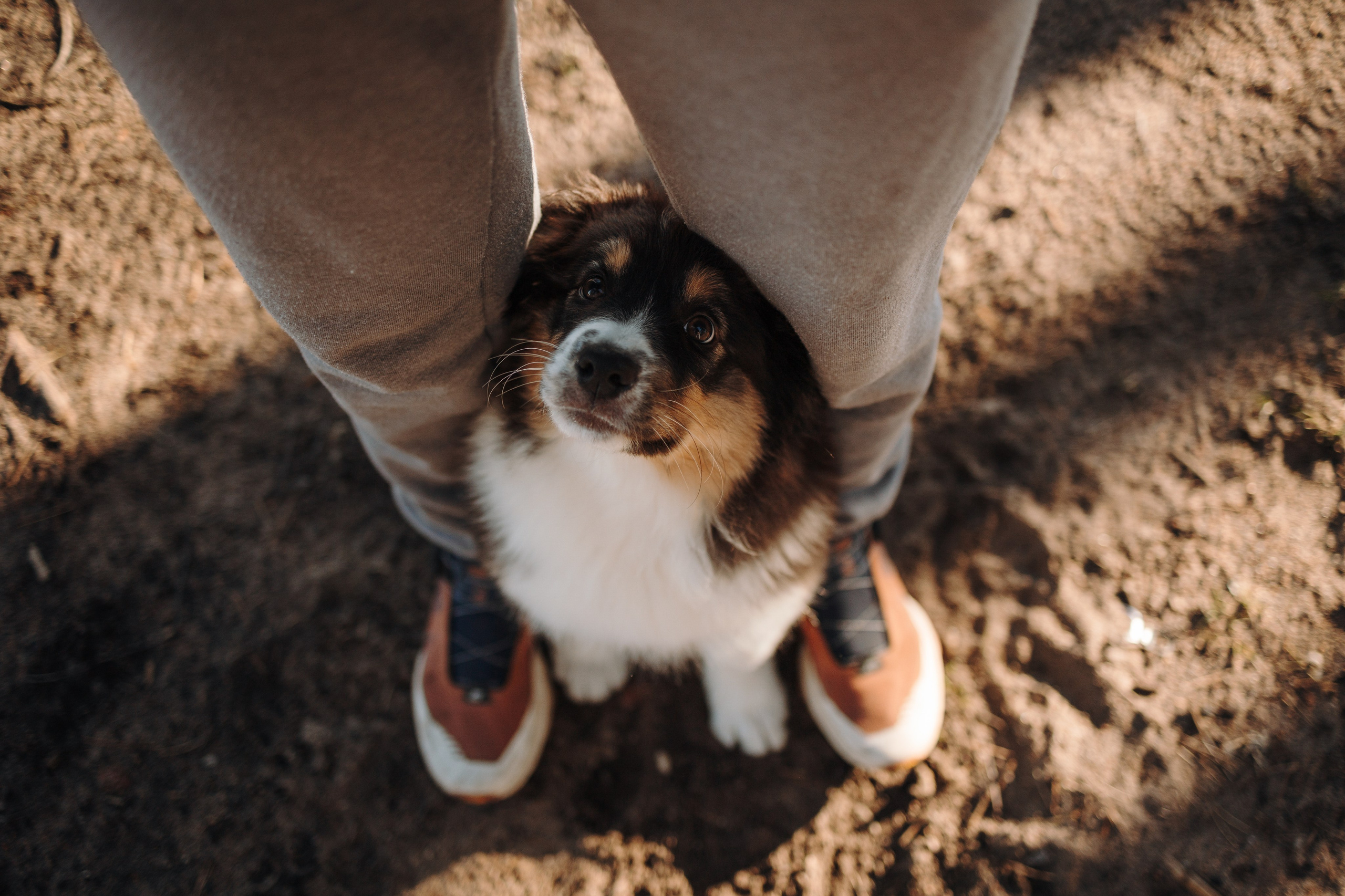 Ира и Шмель. Фотограф — Анималист | Санкт-Петербург