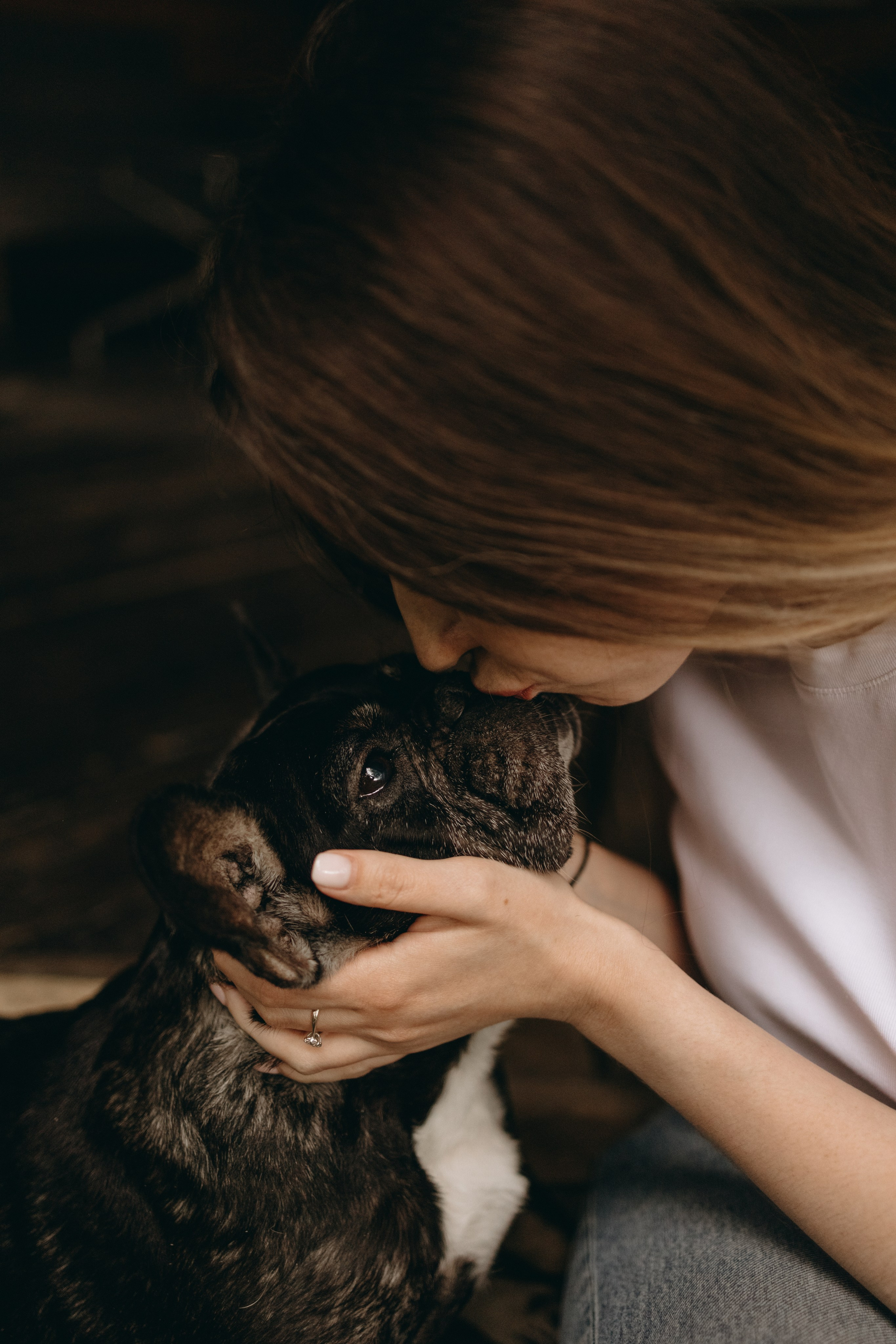 Софа и ее хвостики. Фотограф — Анималист | Санкт-Петербург