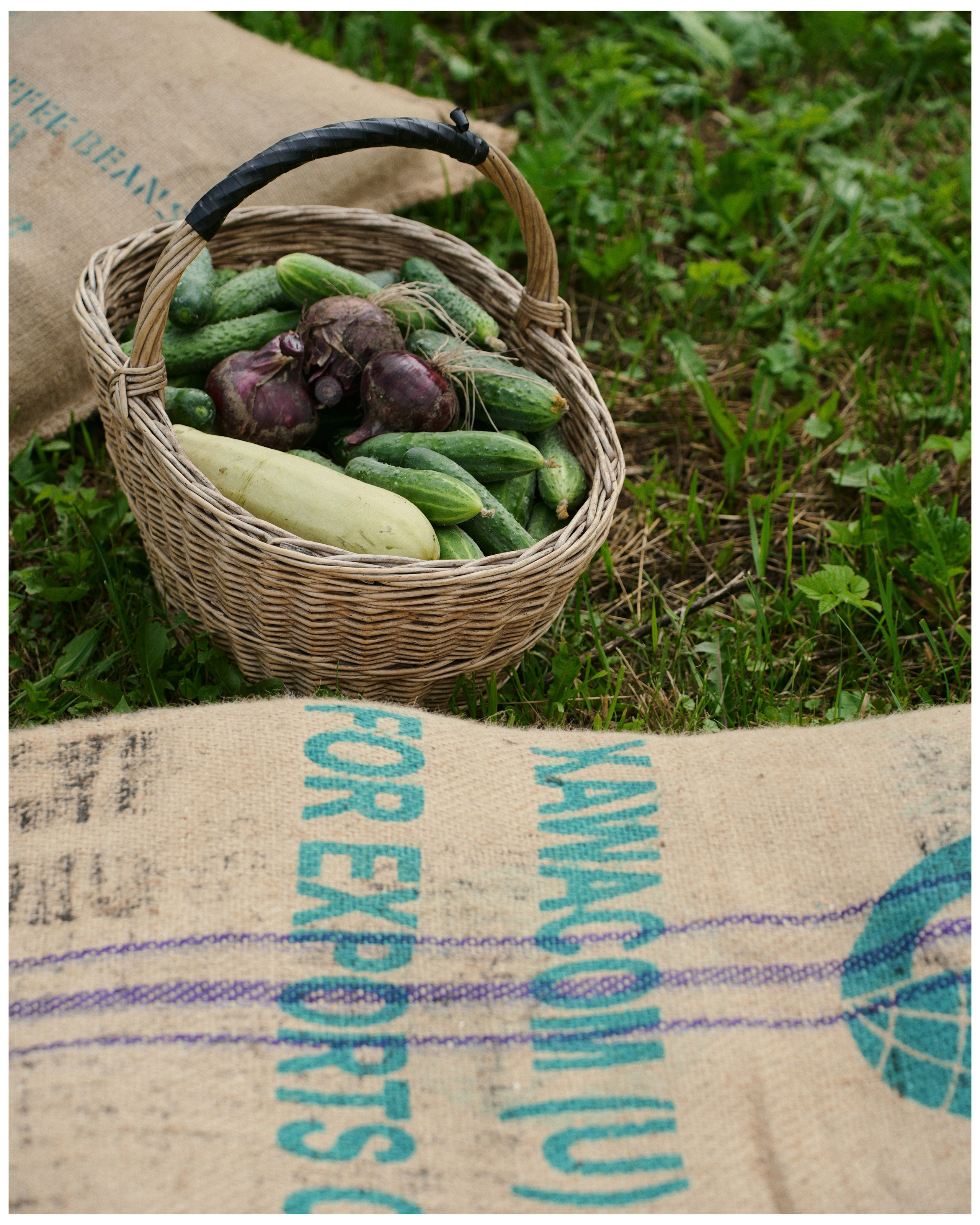 PODMOKLOVO. ANNA — PHOTOGRAPHER