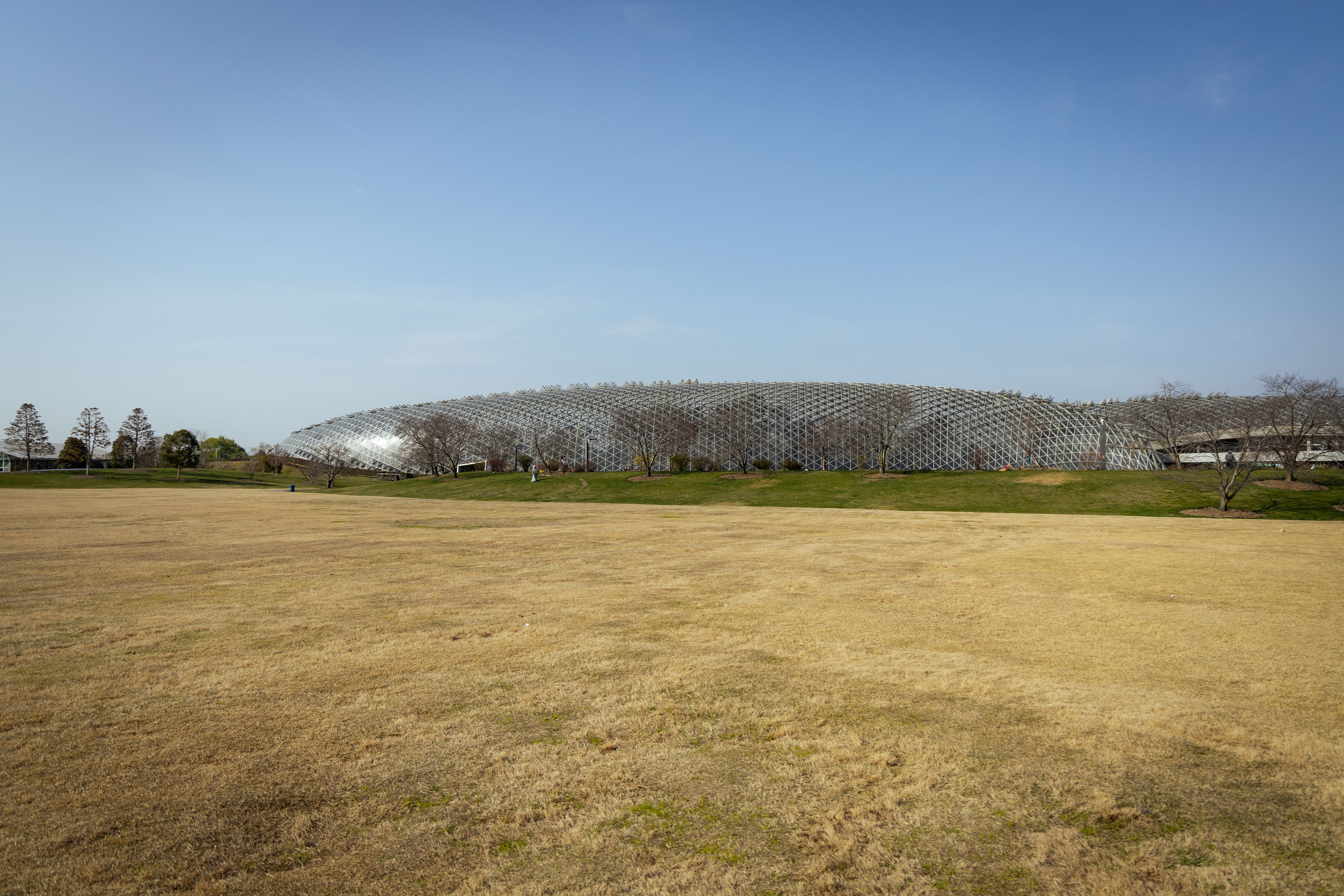 Шанхай (март 2026). Фотограф Виноградов Константин