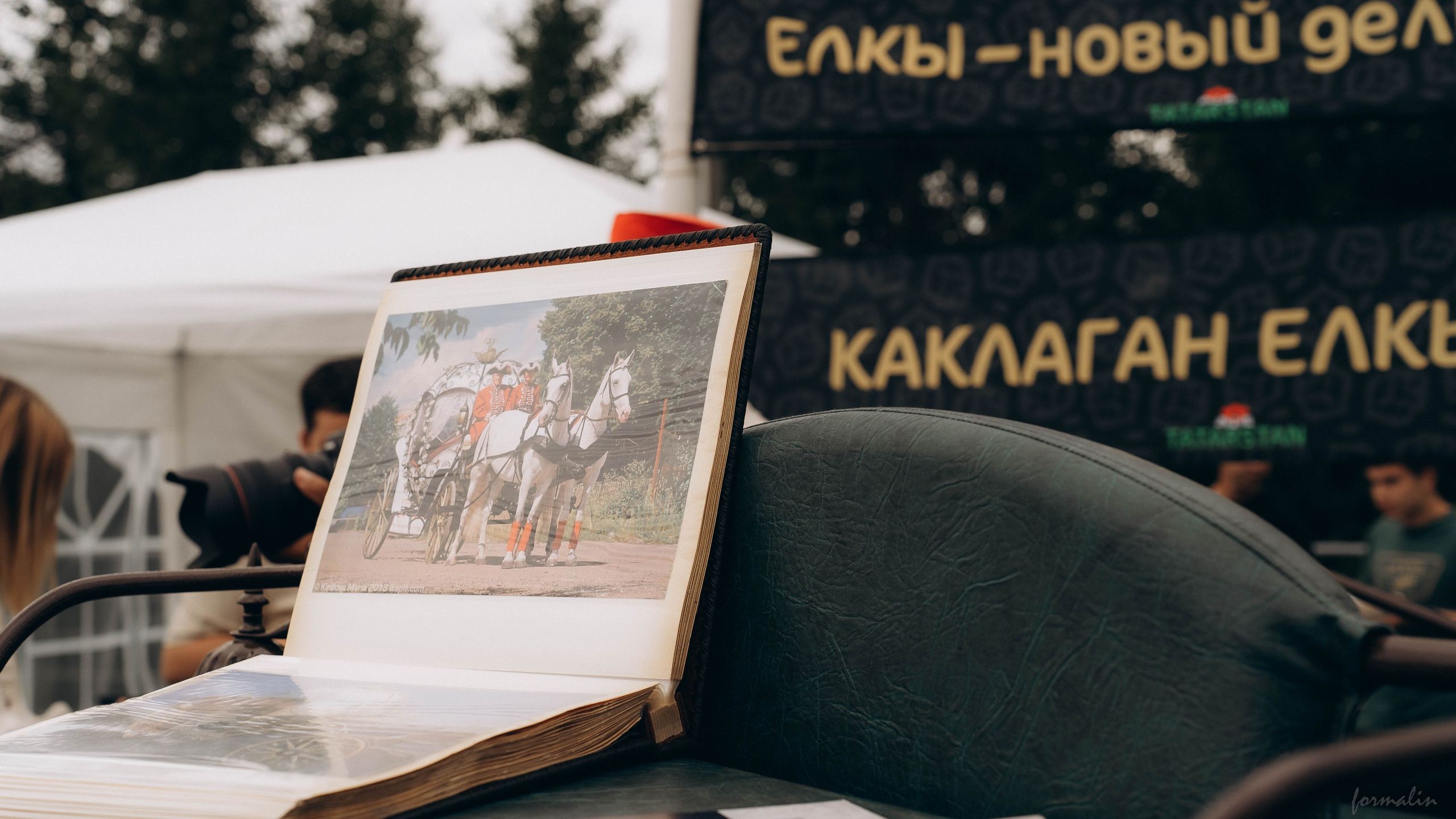 День Коня. Алиса Никитцова | Фотограф в Казани