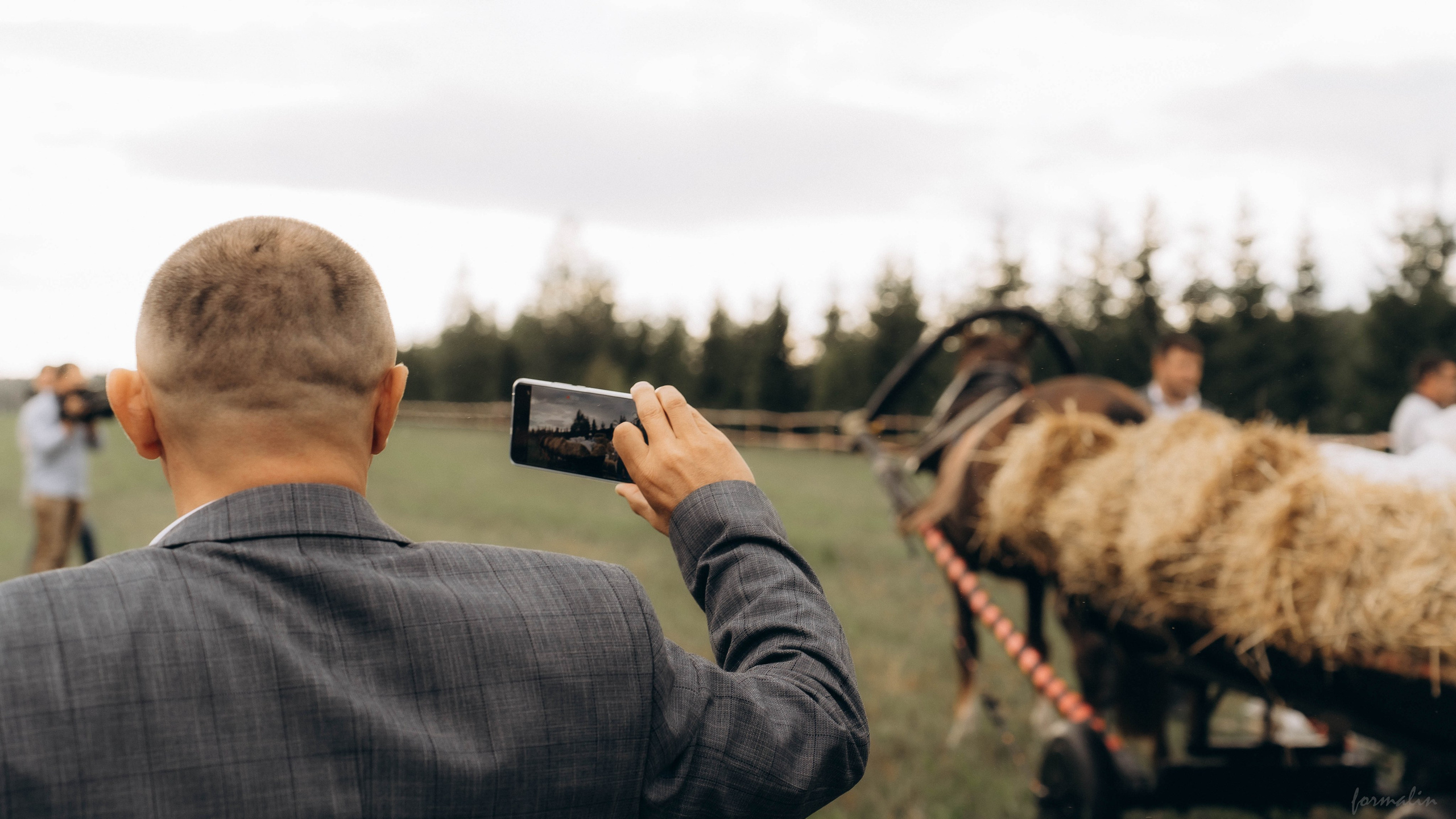 День Коня. Алиса Никитцова | Фотограф в Казани