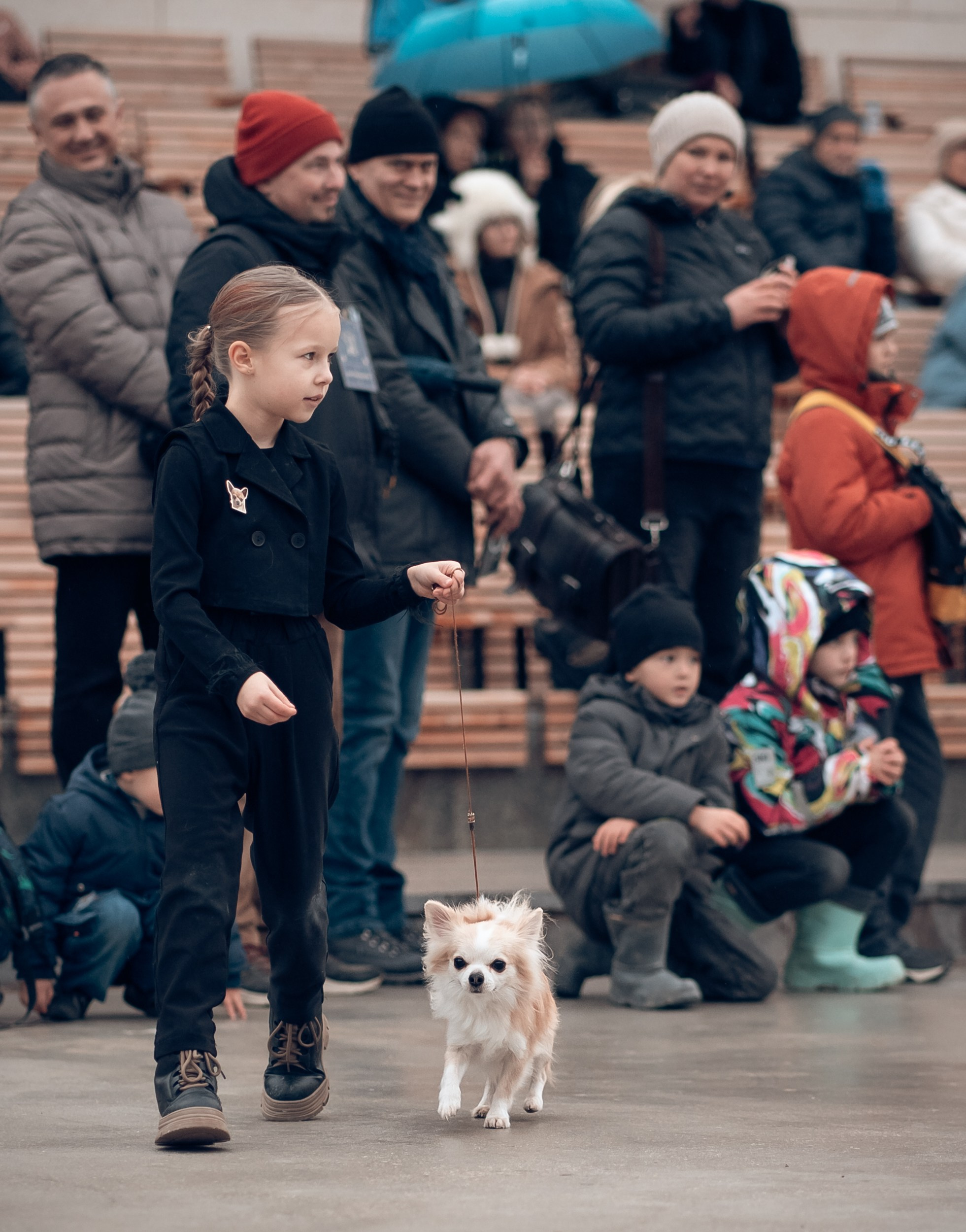 Благотворительная выставка собак в Новом Херсонесе г. Севастополь. Церковный фотограф Севастополь