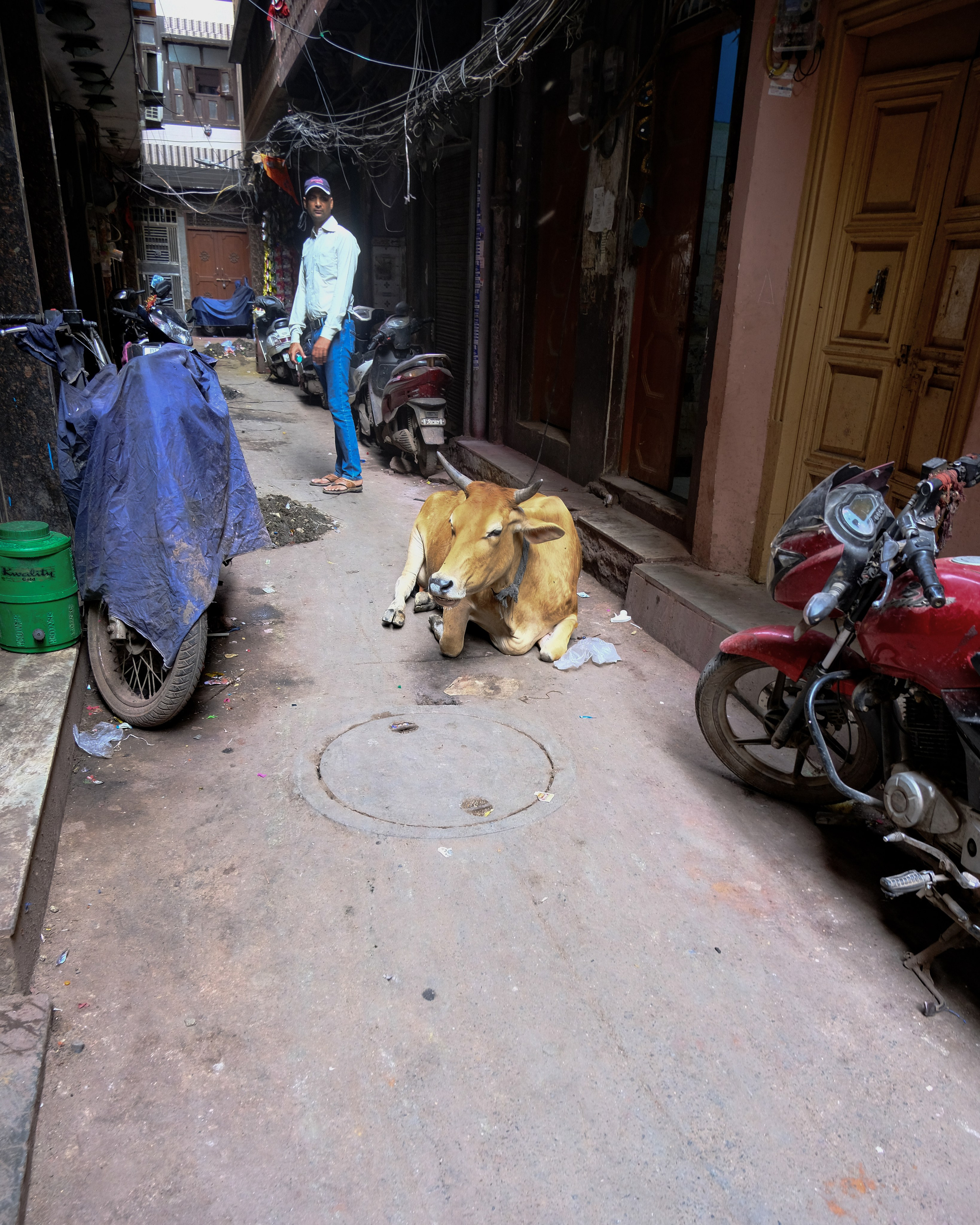 Дели: Рынок и Трущобы. Фотографии из путешествий