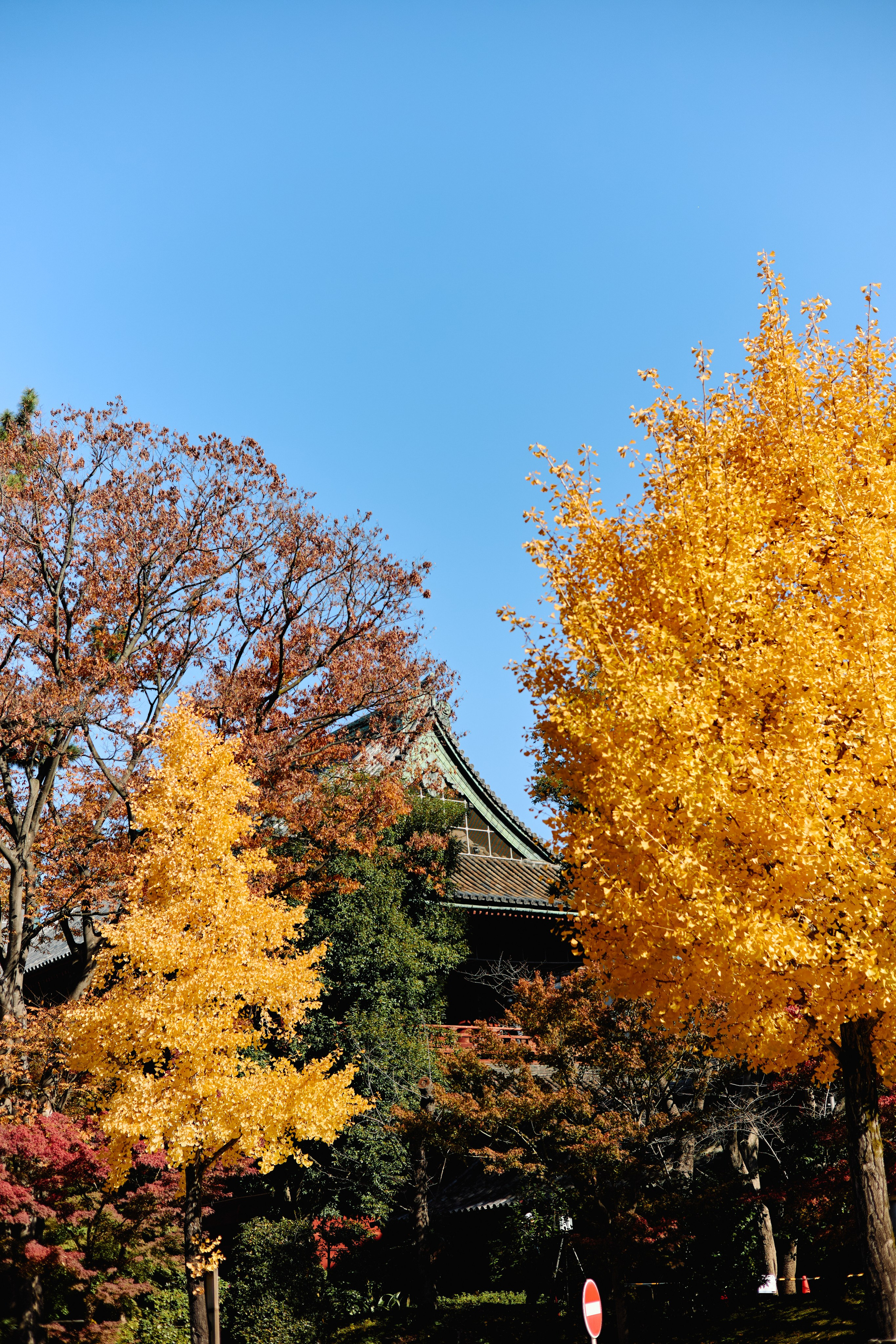 Япония. Профессиональный Фотограф во Владимире, в Москве и в Суздале — Полина Романычева
