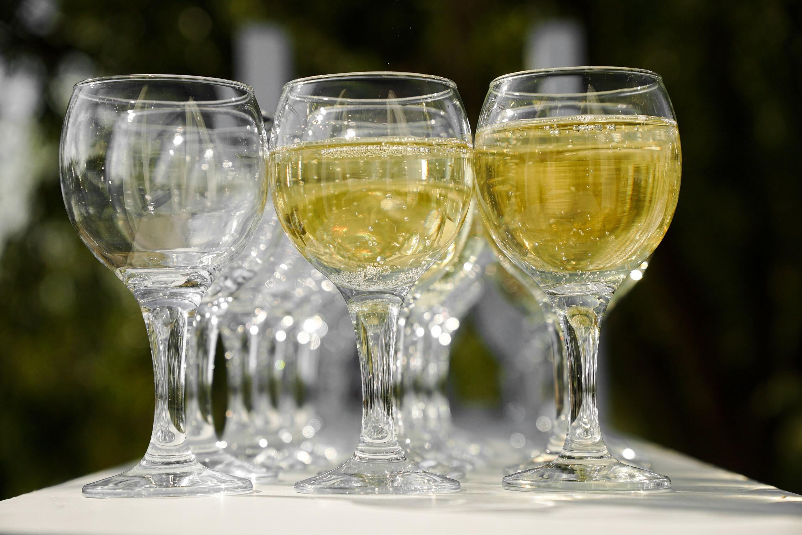 Golf club's wedding. Свадебный фотограф и видеограф в Ростове-на-Дону. Максим и Наталья Лебедевы