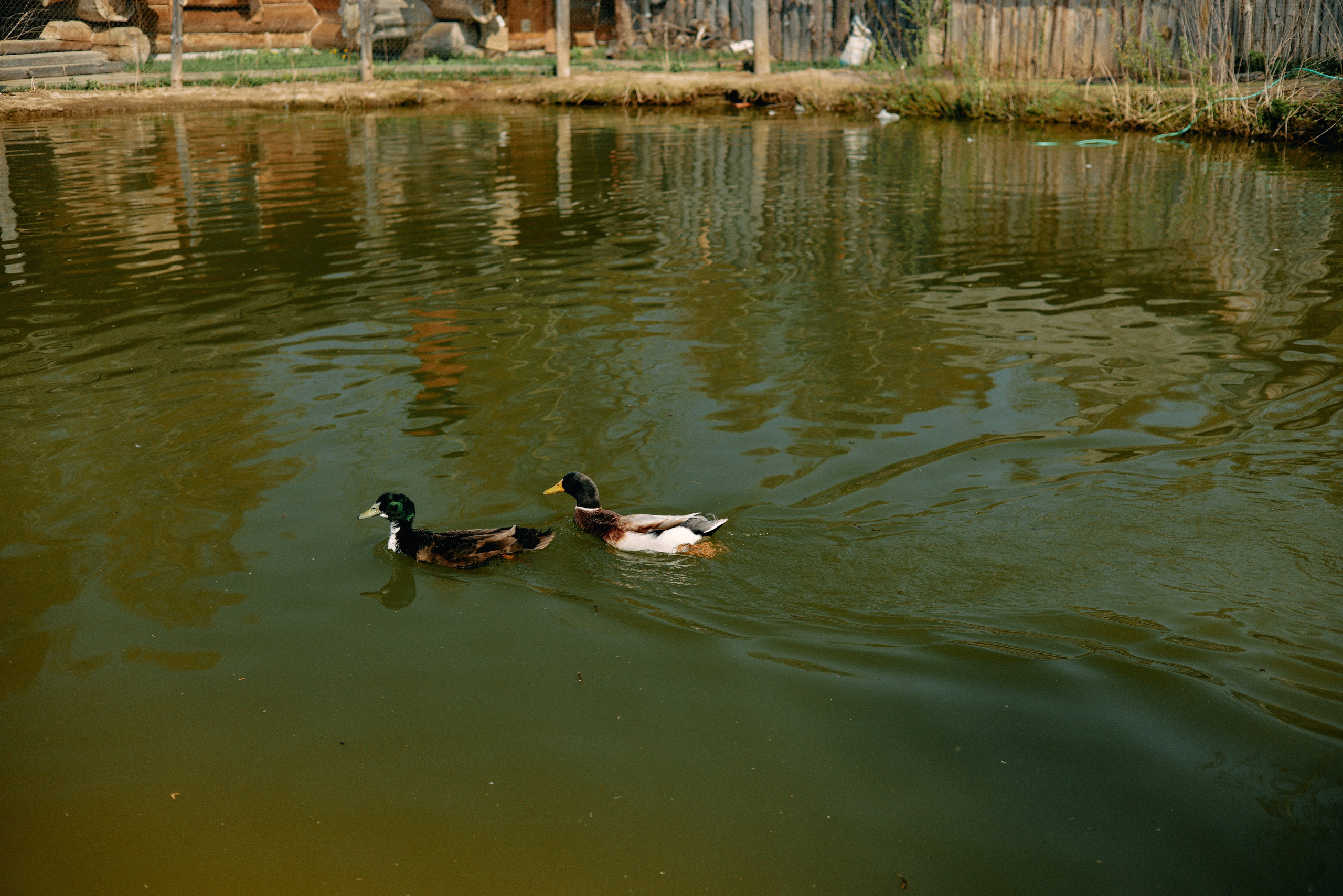 Бутик-отель Поле летом. Профессиональный Фотограф во Владимире, в Москве и в Суздале — Полина Романычева