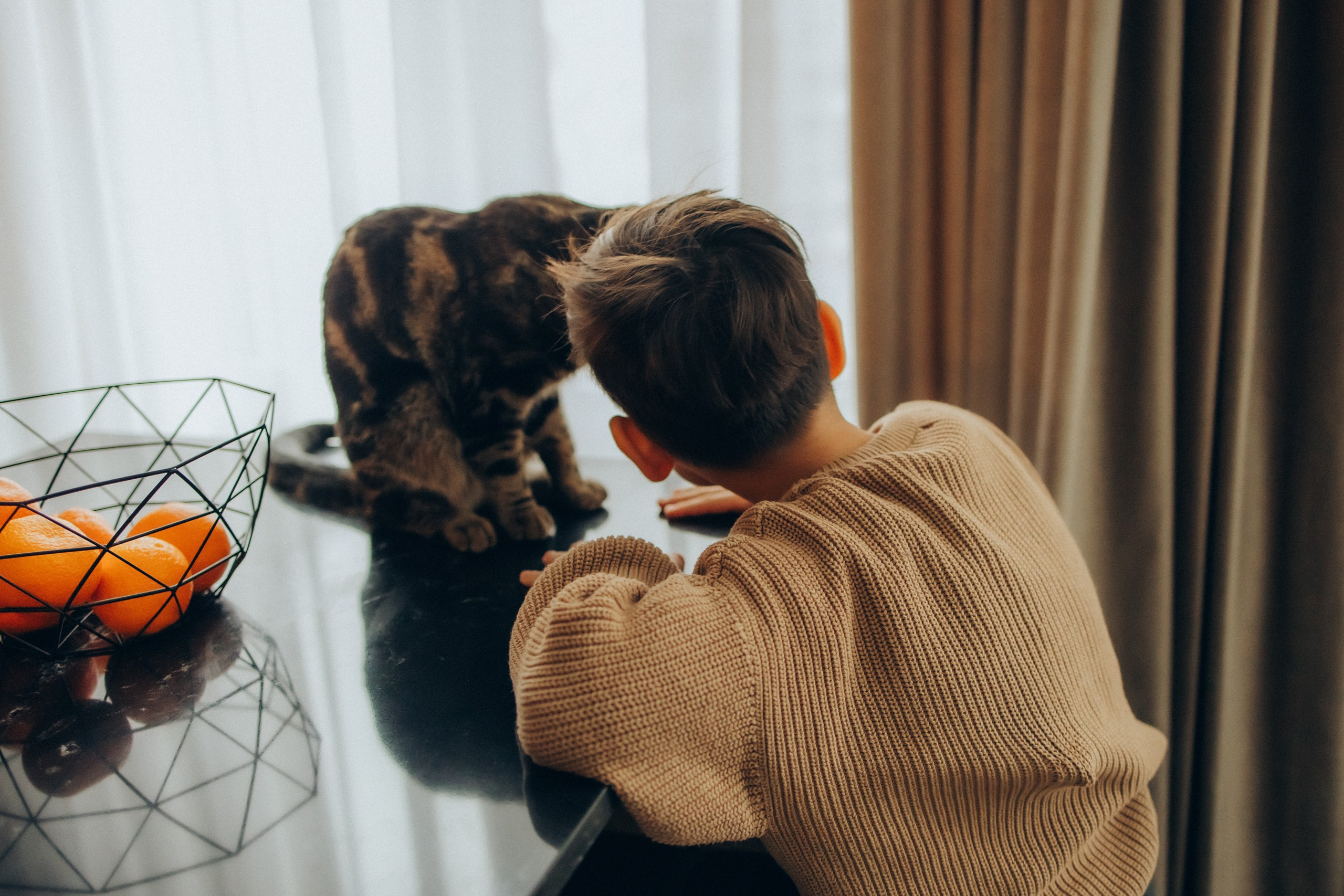 Руслан, Тимур и Луна. Семейный фотограф Москва