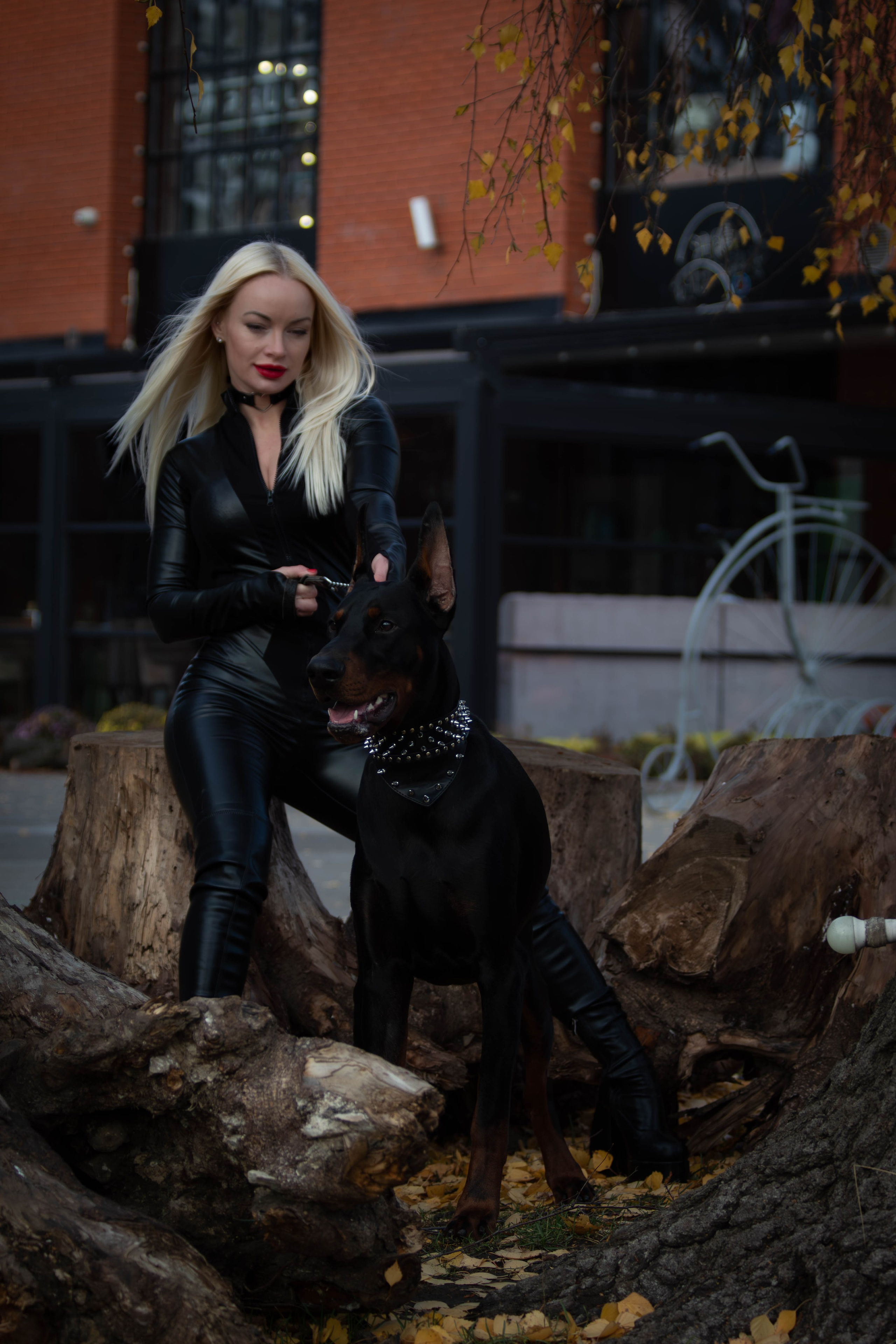 Фотосессии с животными Тула. Фотограф анималист — Тула, Москва