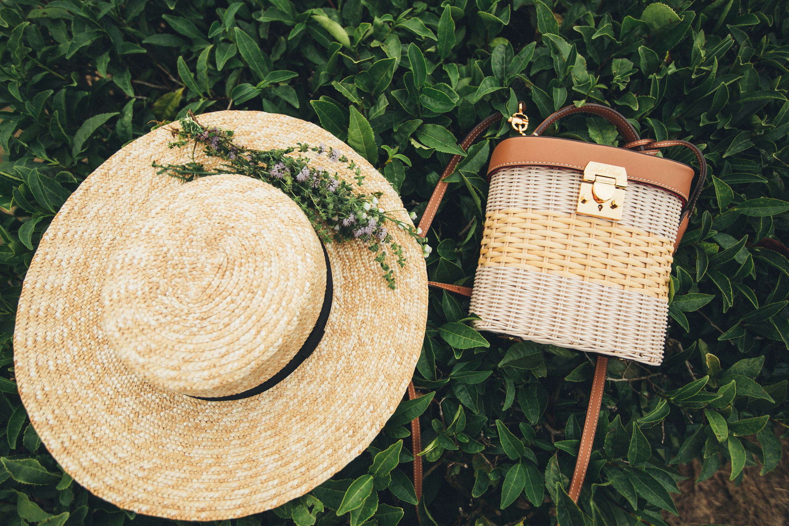 Съемка на чайных плантациях на Мацесте в сочи. Фотограф Галина Скорик