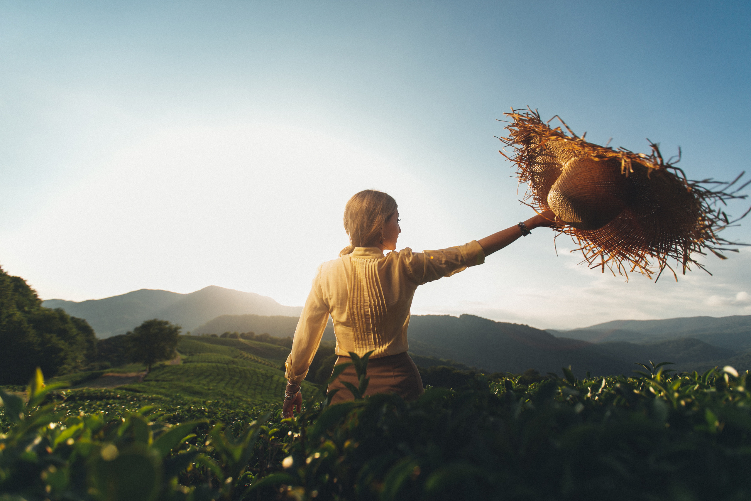 Съемка на чайных плантациях на Мацесте в сочи. Фотограф Галина Скорик