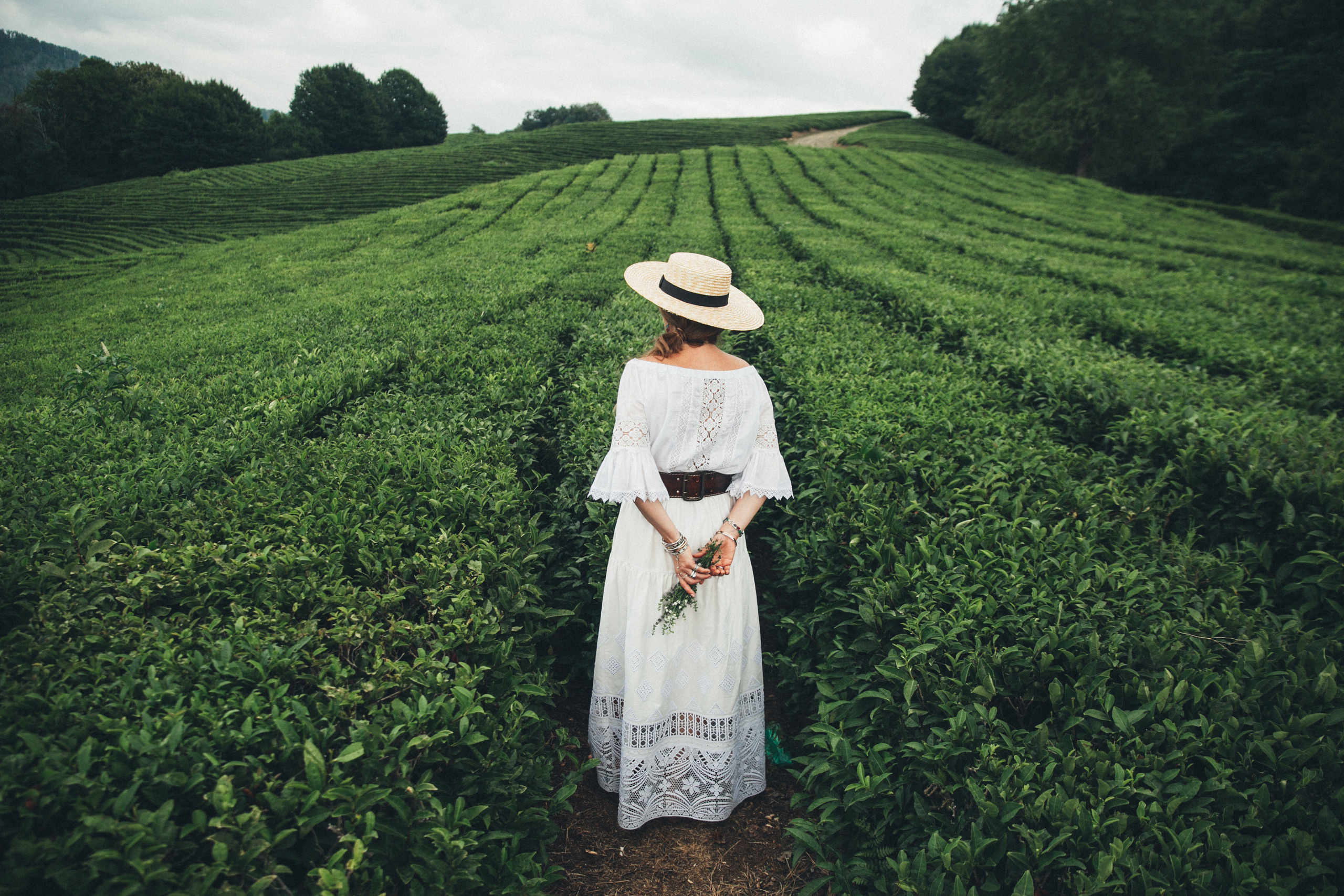 Съемка на чайных плантациях на Мацесте в сочи. Фотограф Галина Скорик