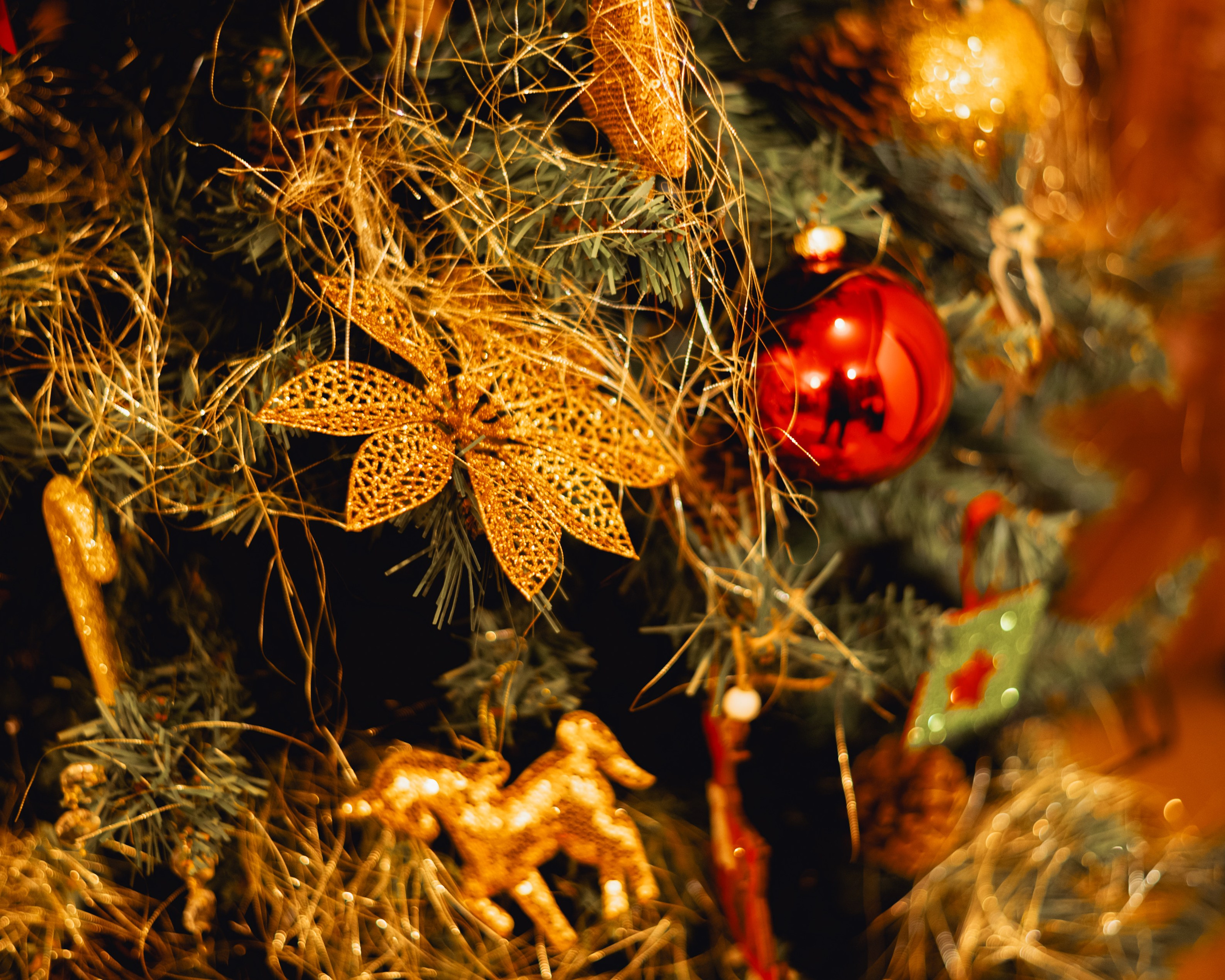 CHRISTMAS FOR VIKTOR AND ALEKSANDR. Anastasiia Antoniuk portrait, family and couple photographer, Portugal