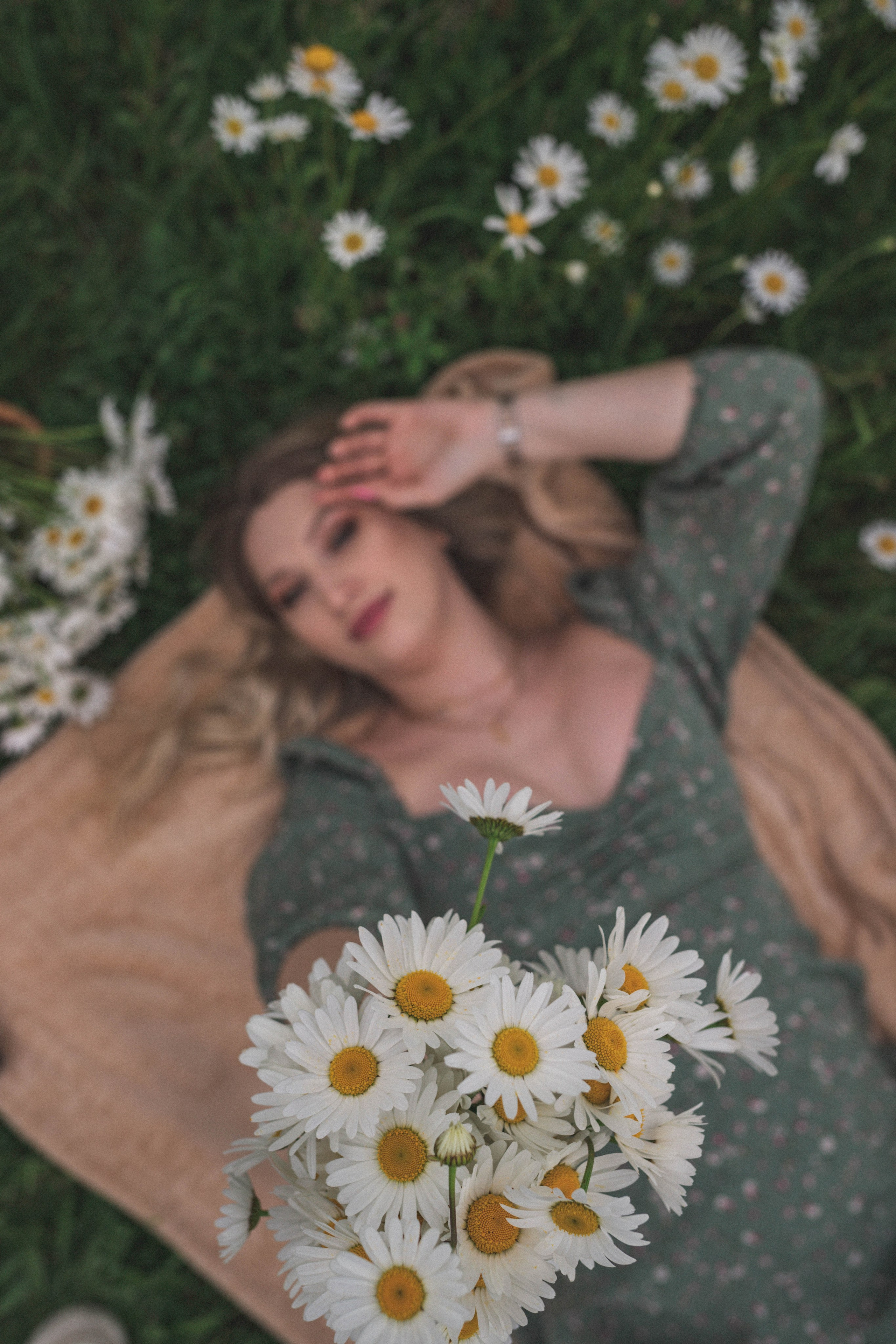 РОМАШКИ. Фотограф Немазенко Ольга