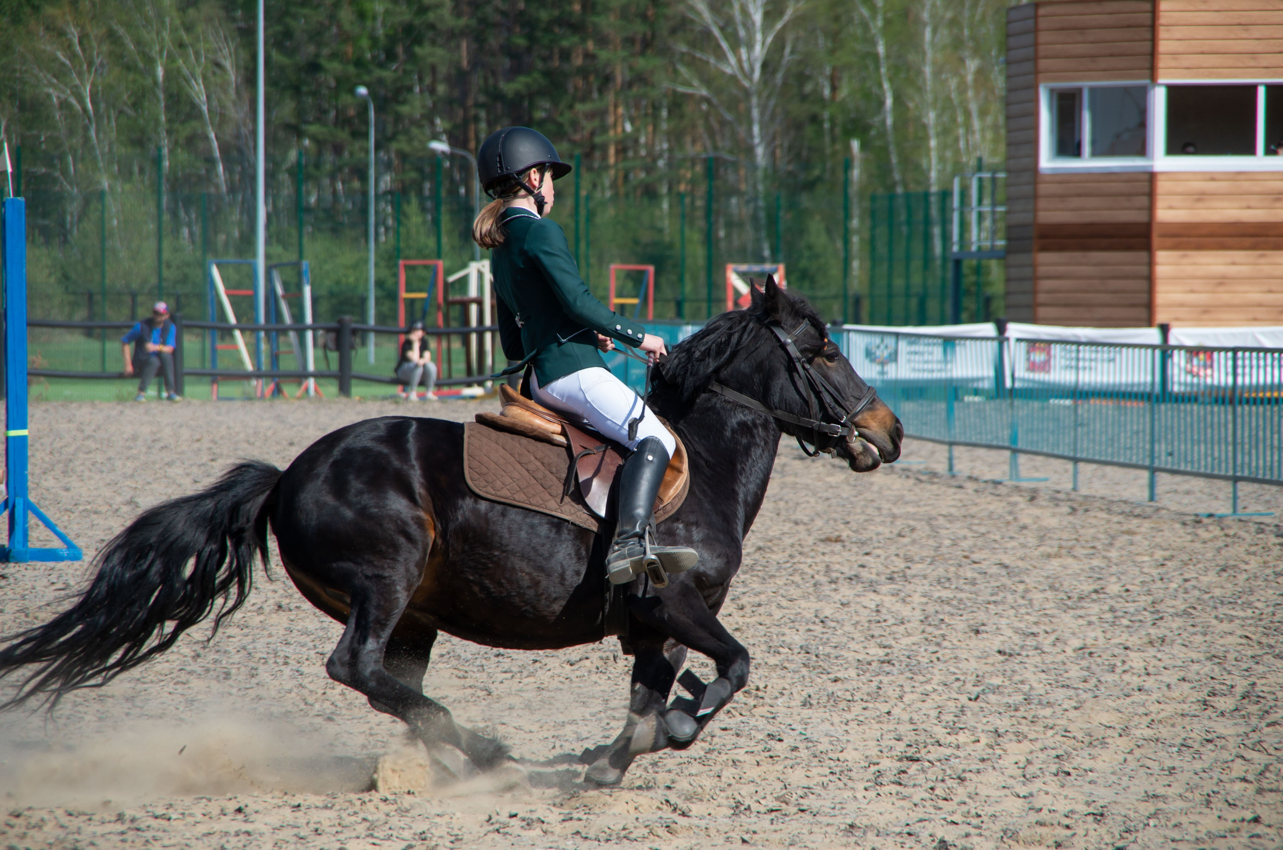 ДЕТИ & ЛОШАДИ. Фотограф Марина Доглядная Челябинск фотосессии с лошадьми, мотоциклами