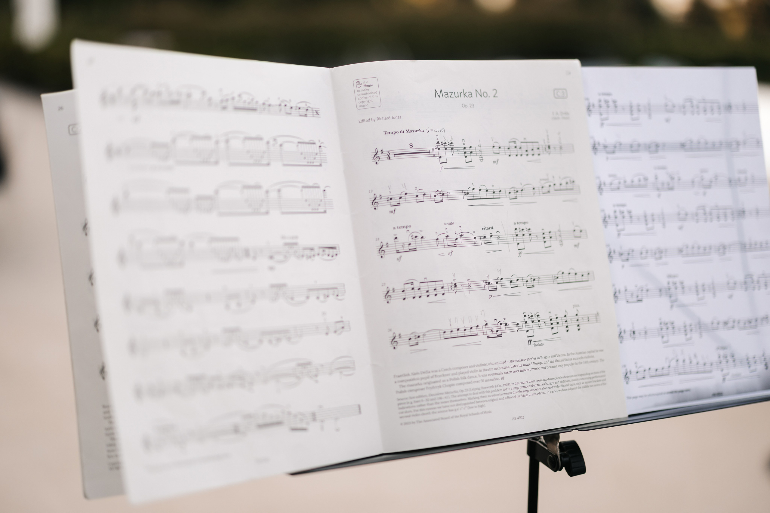 Для конкурса. Свадебный фотограф Москва Мотеюнайте Виктория