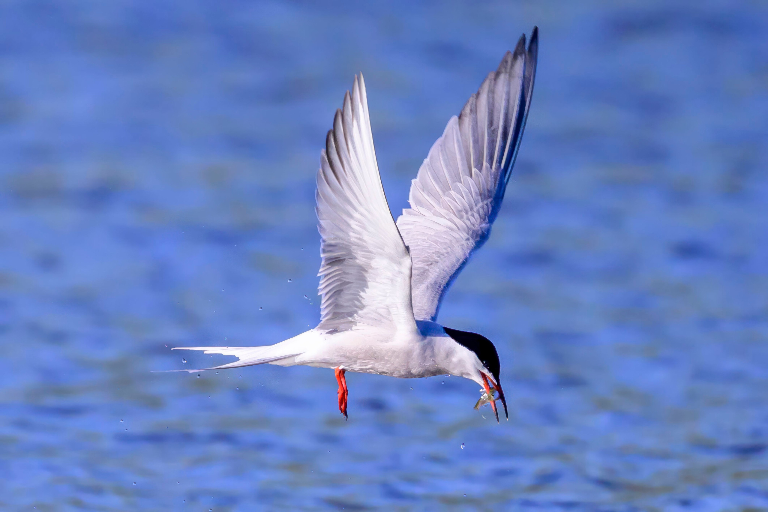 Дмитров. Фотограф Сергей Пупонин