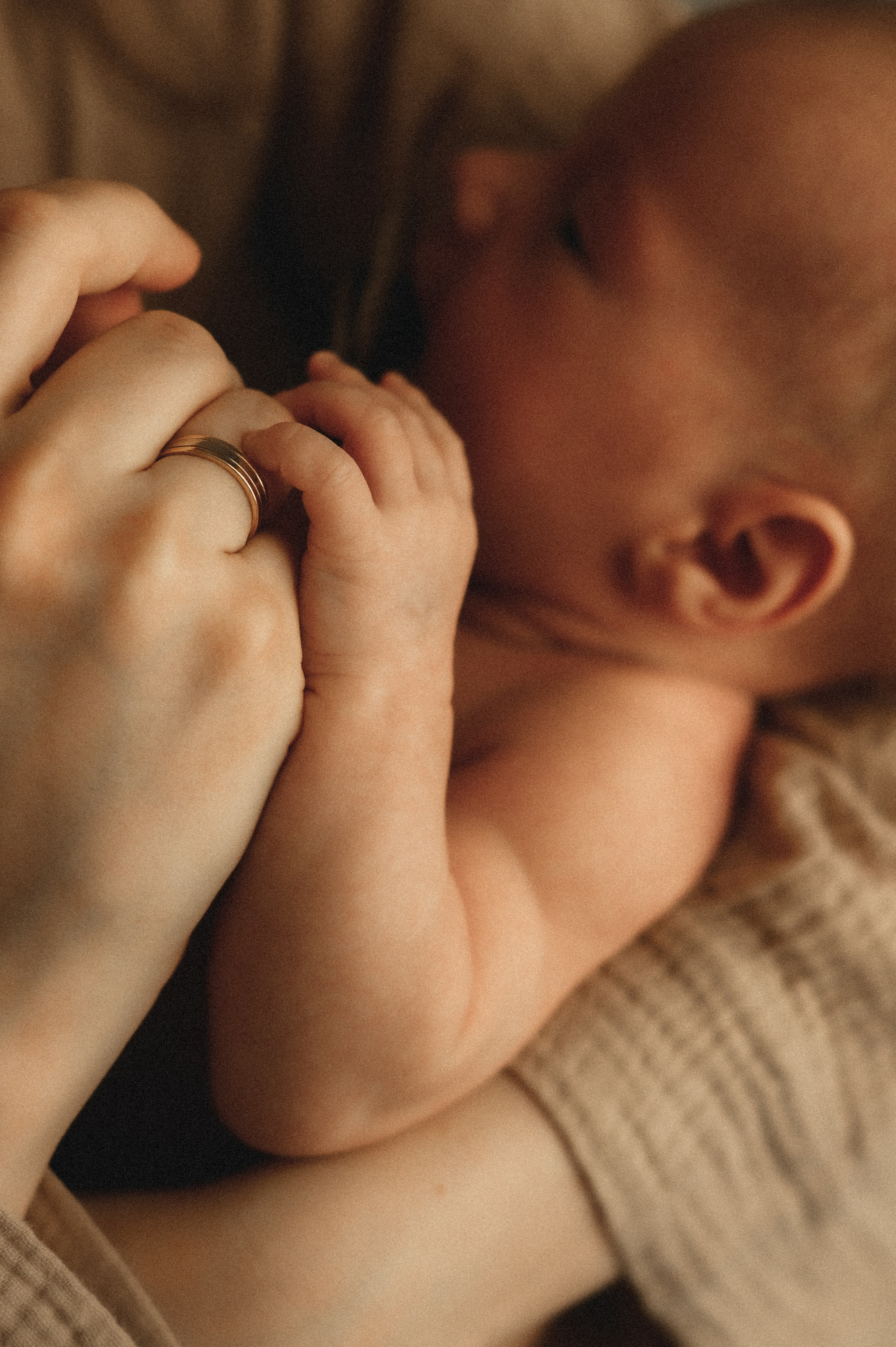 Первый месяц. Мама, папа и малыш. Семейный фотограф в г. Ставрополь, Сорокина Мария