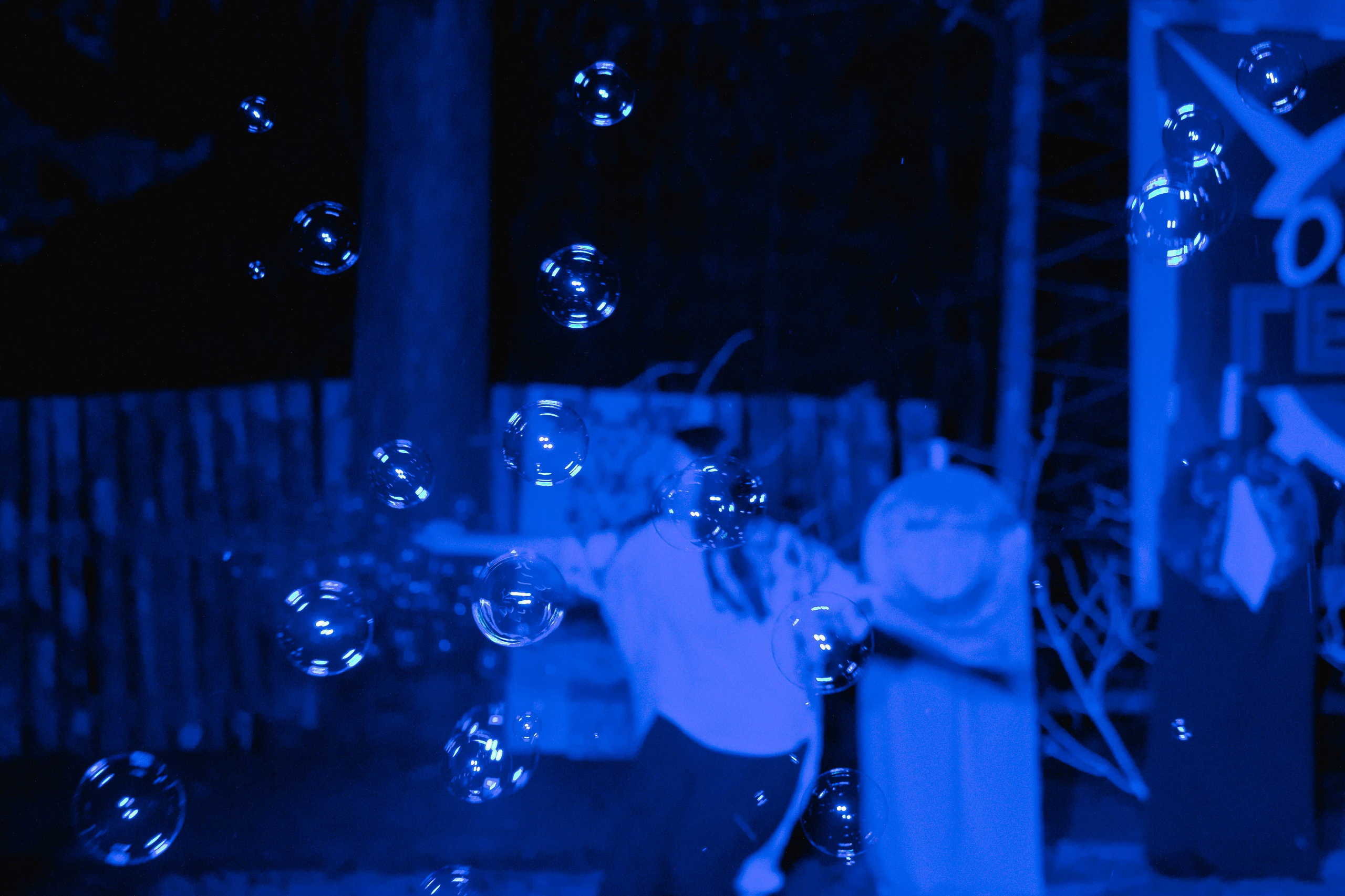 Поляна 2025. Фотограф Маша Корнеева