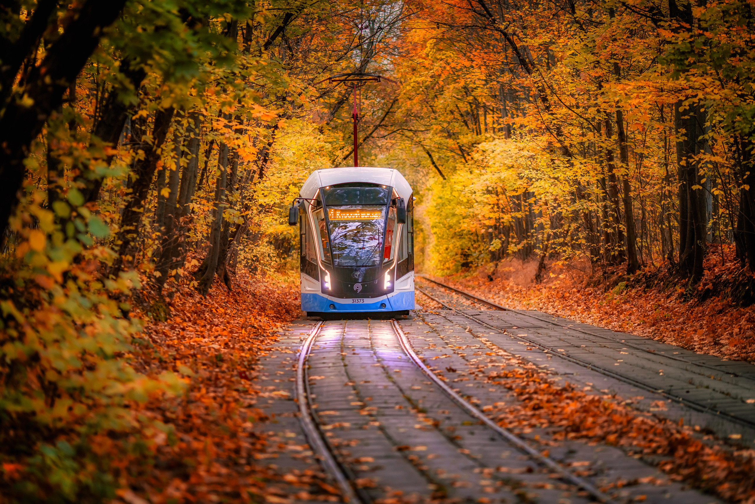 Street photography. Photographer Kirill Sergeev | Moscow