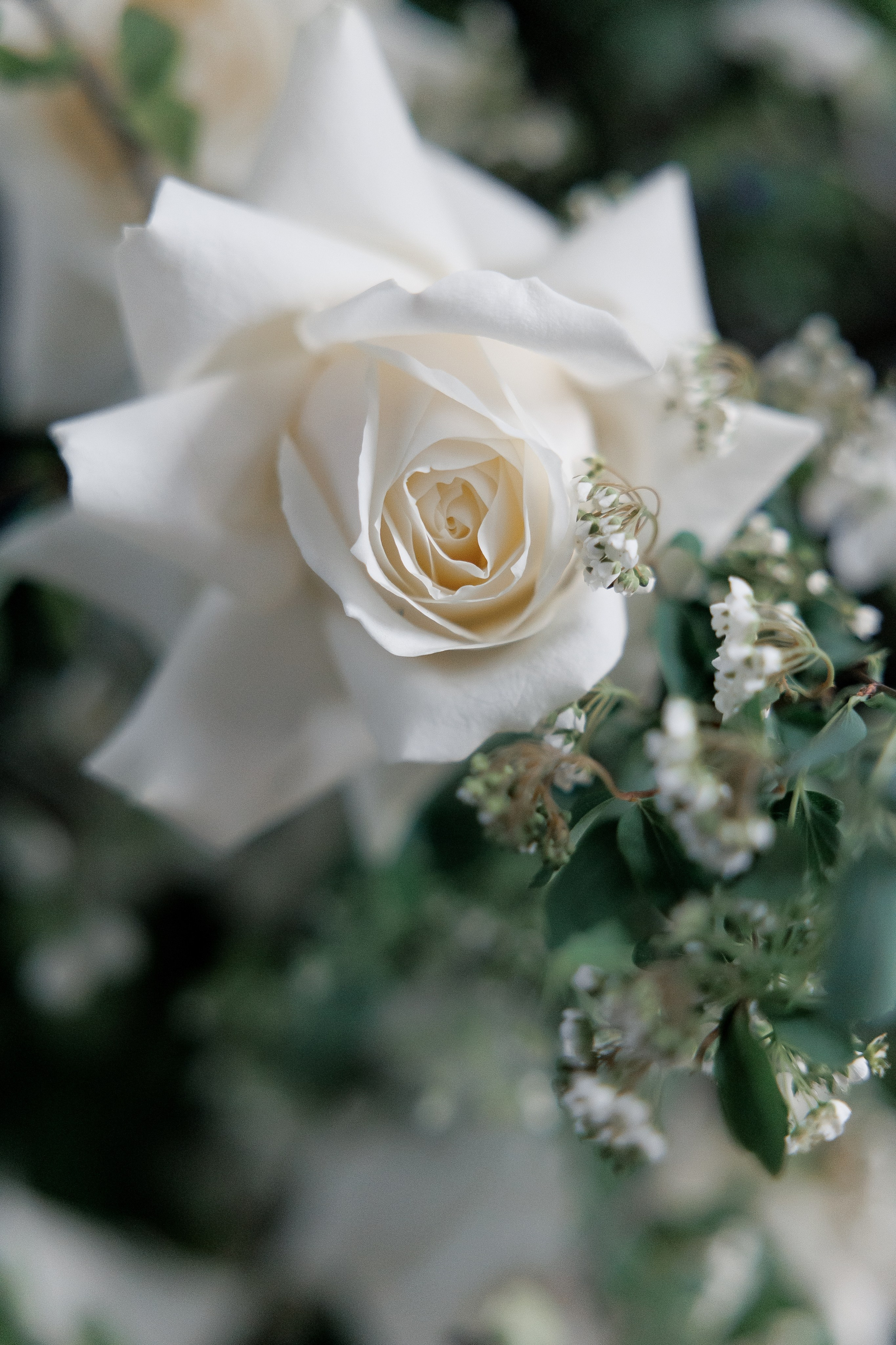 Женя & Настя. Свадебный фотограф Домодедово Москва Катерина Алехина