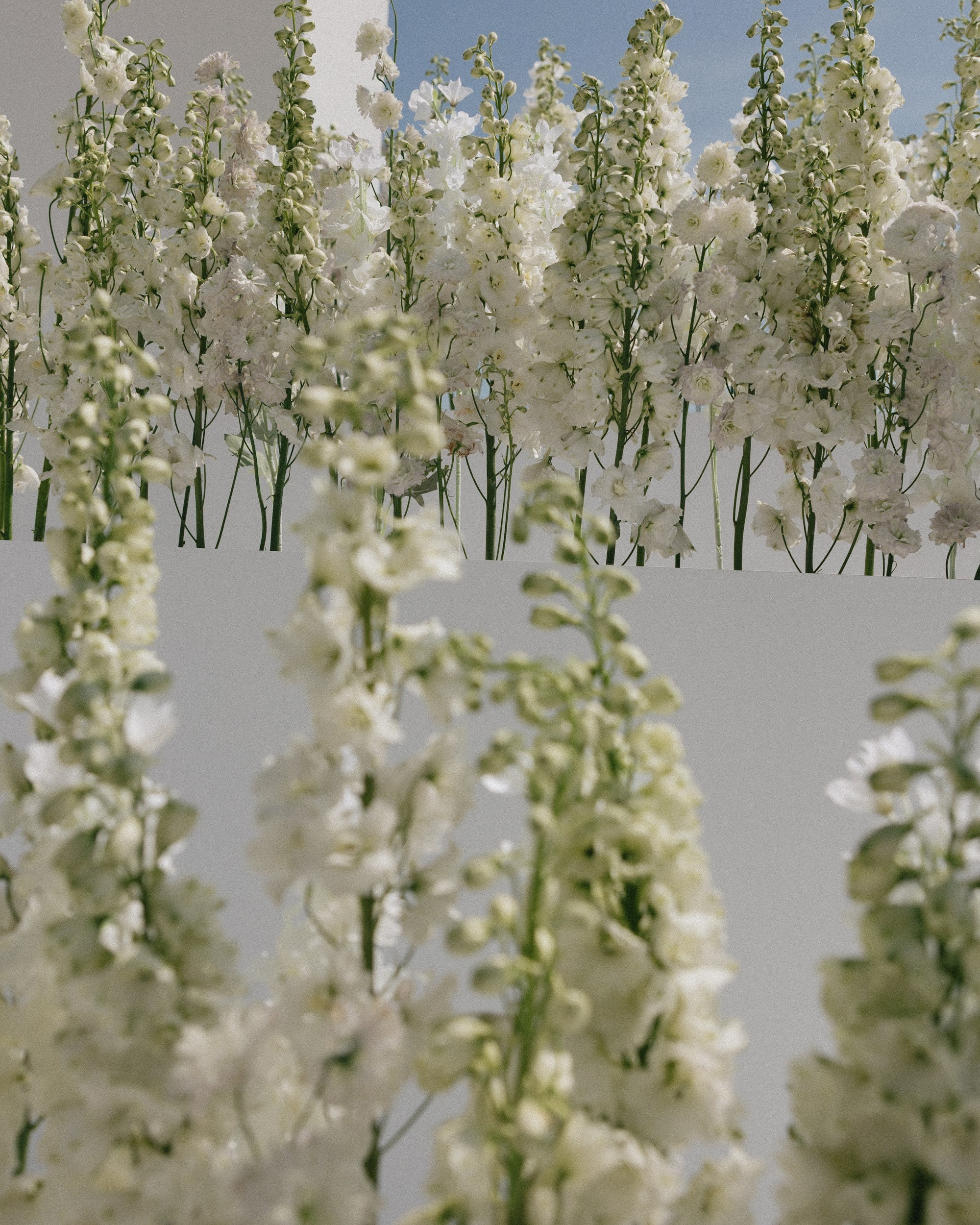 Алексей и Валерия 2025. Ксения Почтарь. Декоратор и флорист, город Владивосток